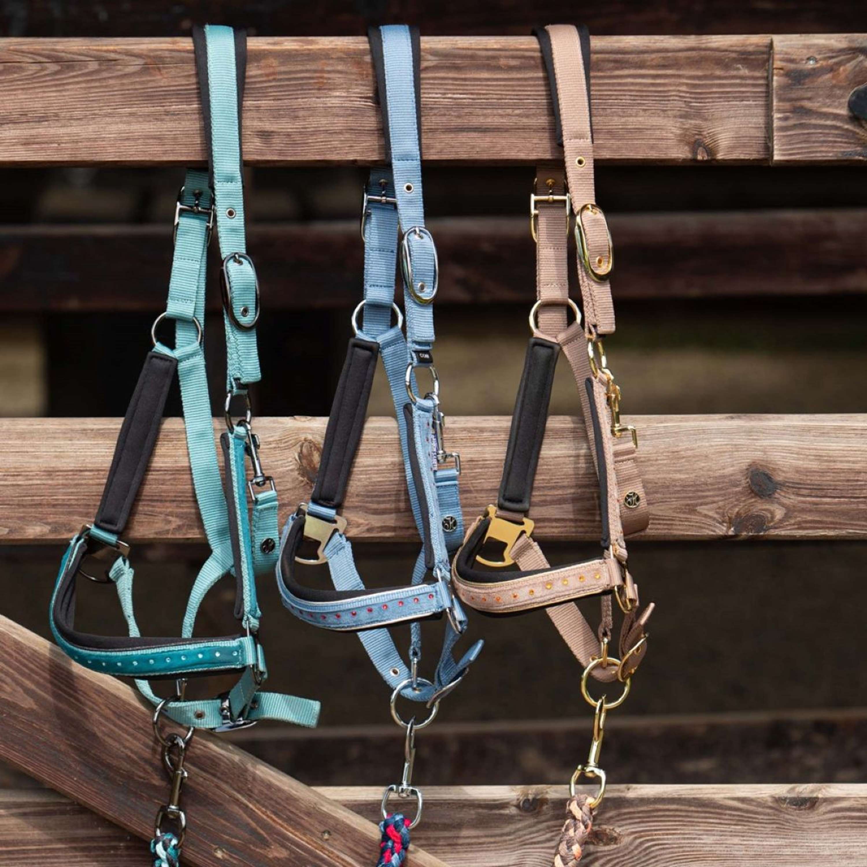 Harry's Horse Halter Set Crystal Blue Heaven