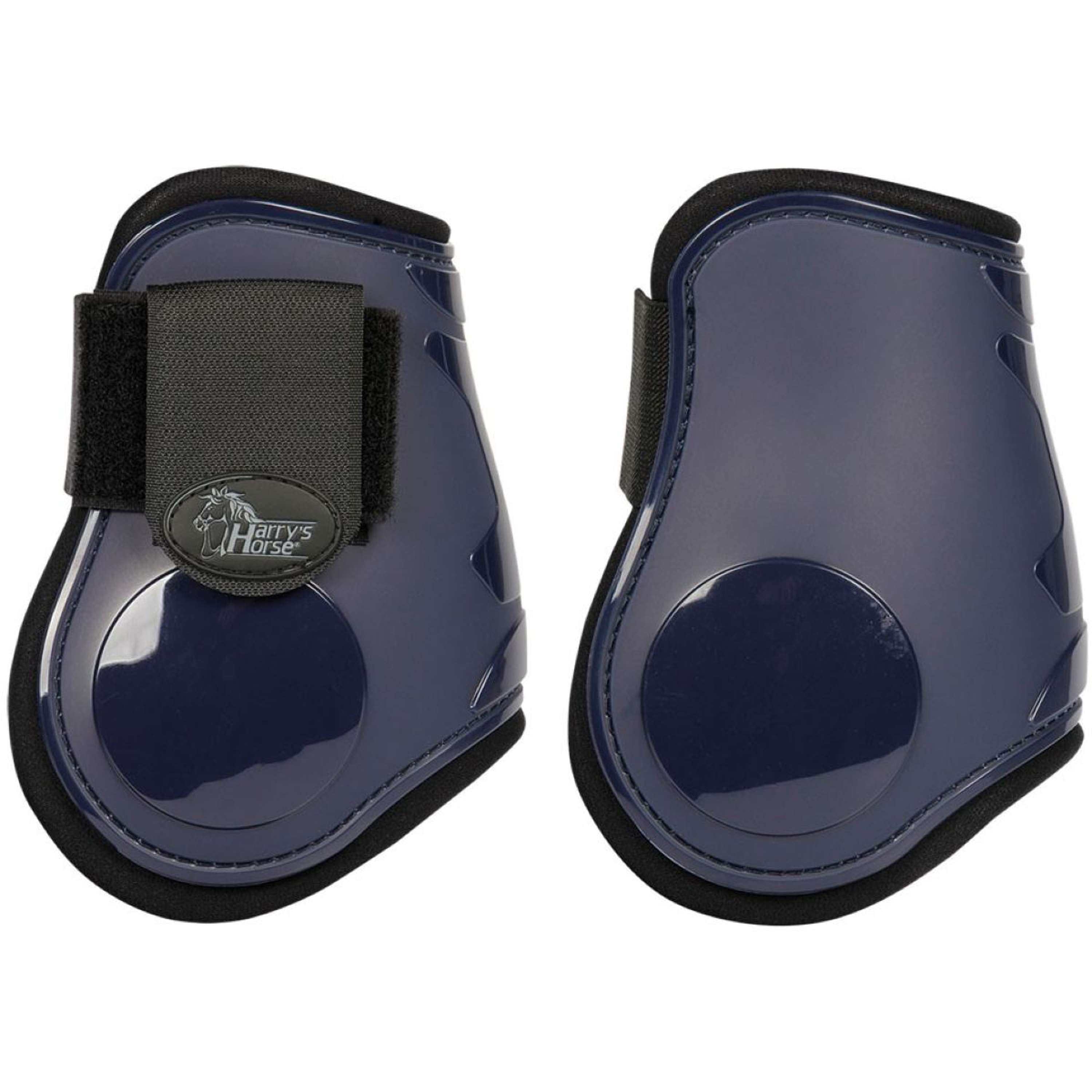 Harry's Horse Bullet guards Next Navy