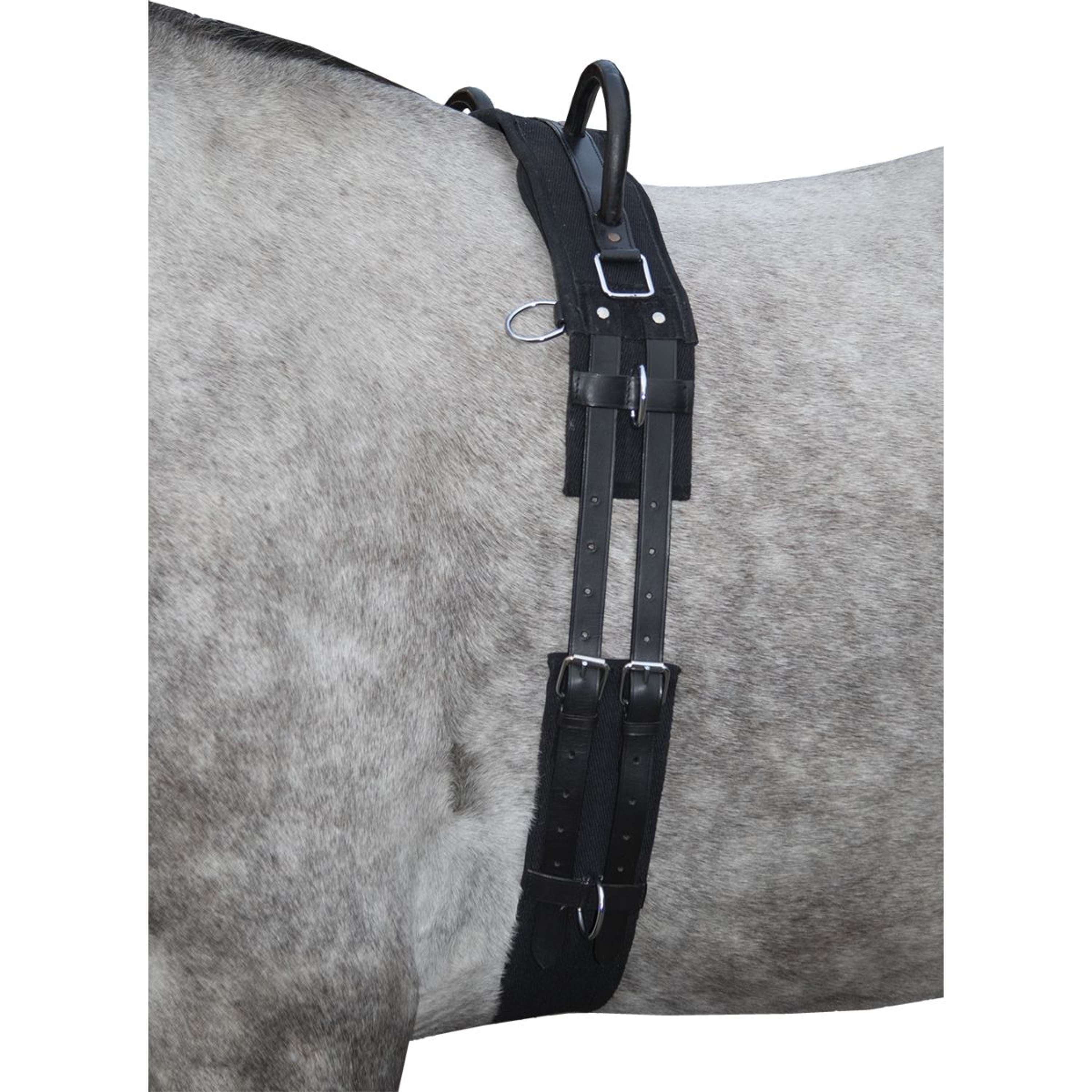 HKM Lunging Girth Canvas Whiteh Double Handgriff Black