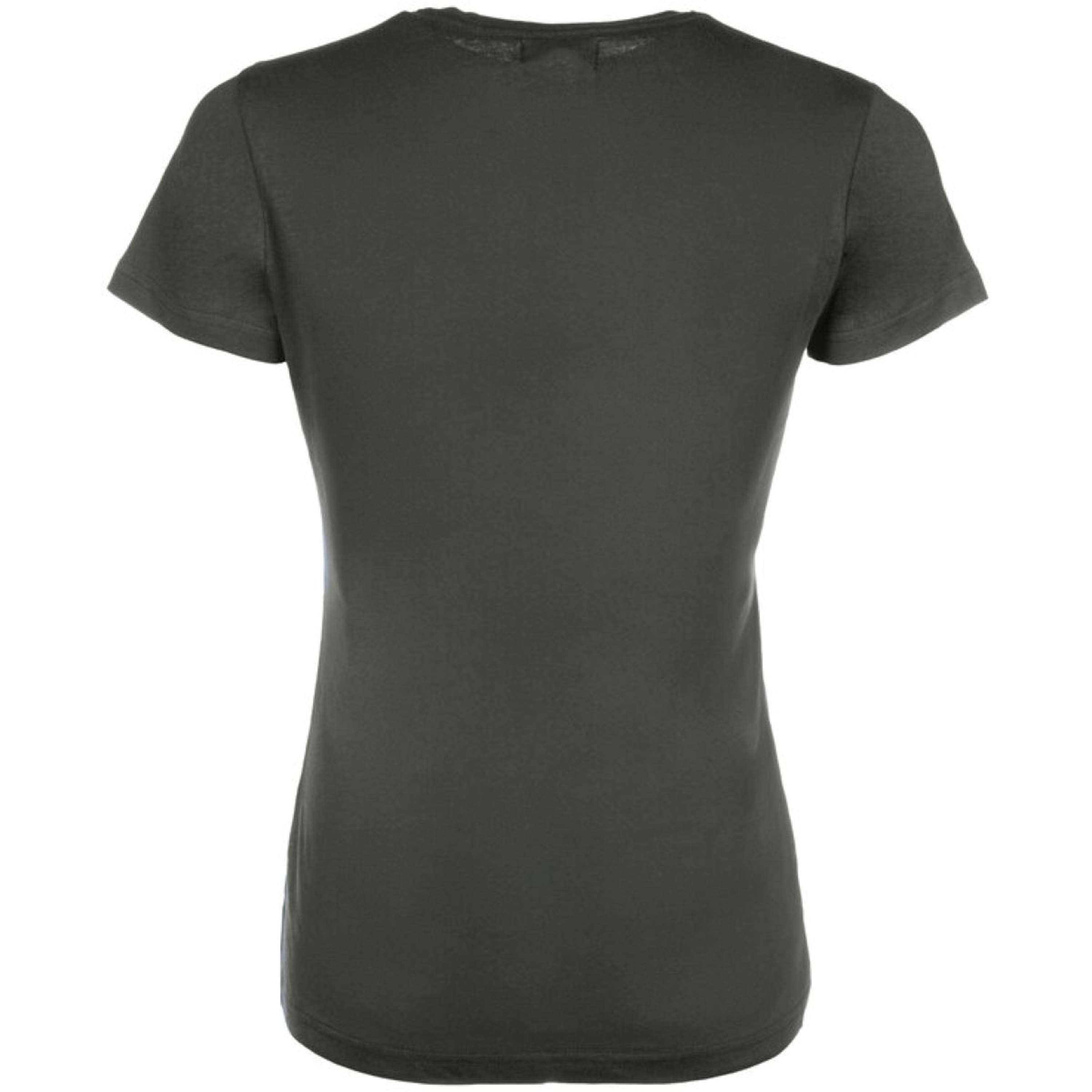 HKM T-Shirt Mirror Graygreen