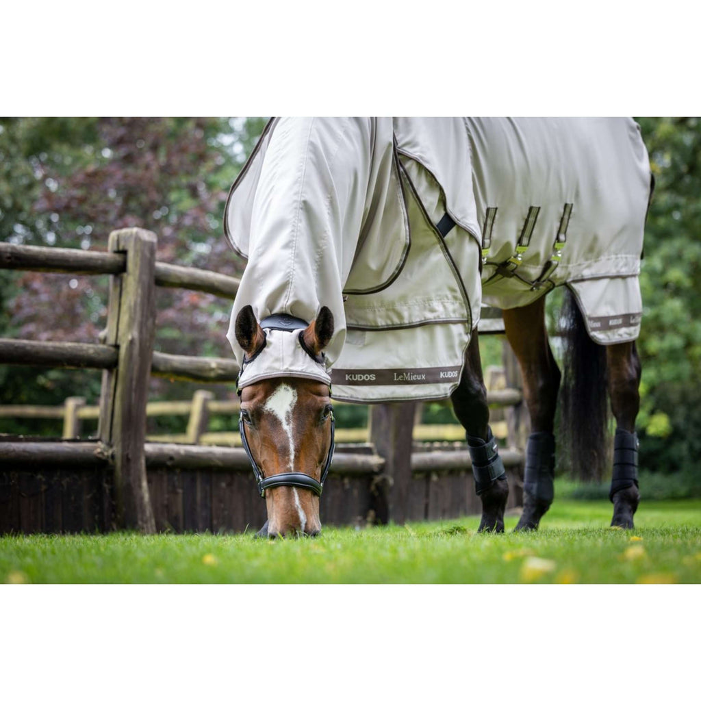 LeMieux Eczema Rug Kudos Sweet Itch SS26 Stone
