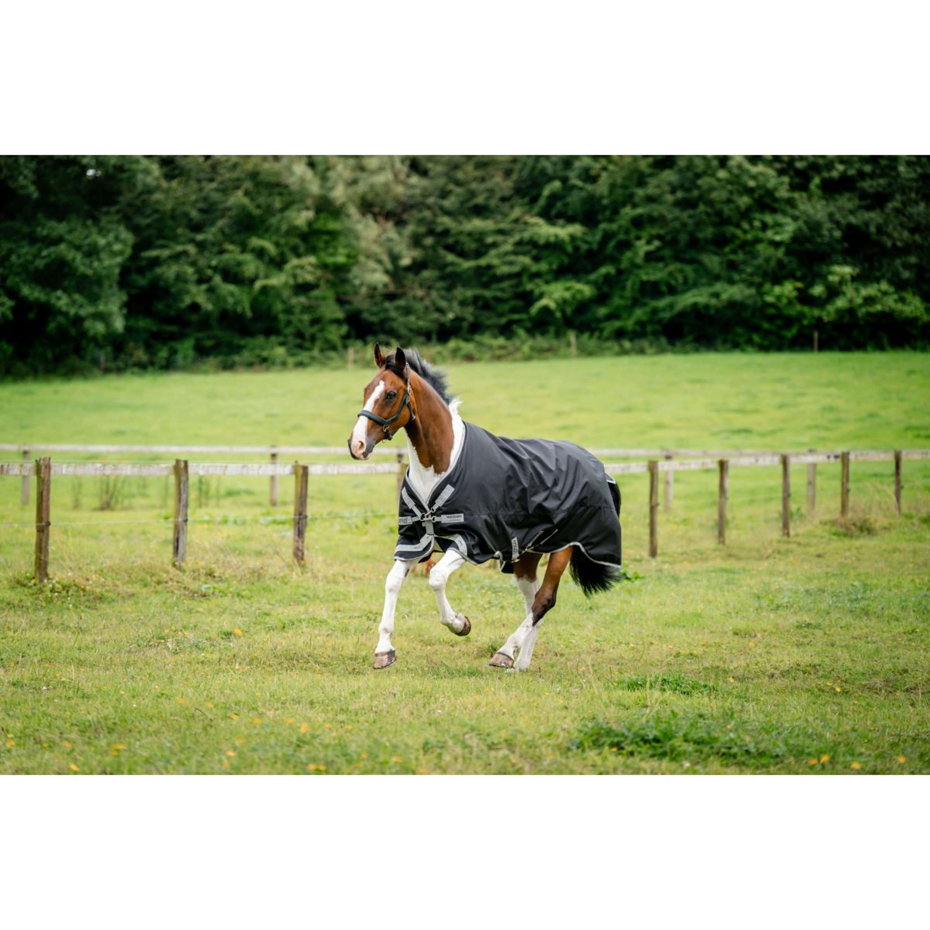 Amigo Turnout Rug 1200D 250g Black/Titanium Grey/Silver