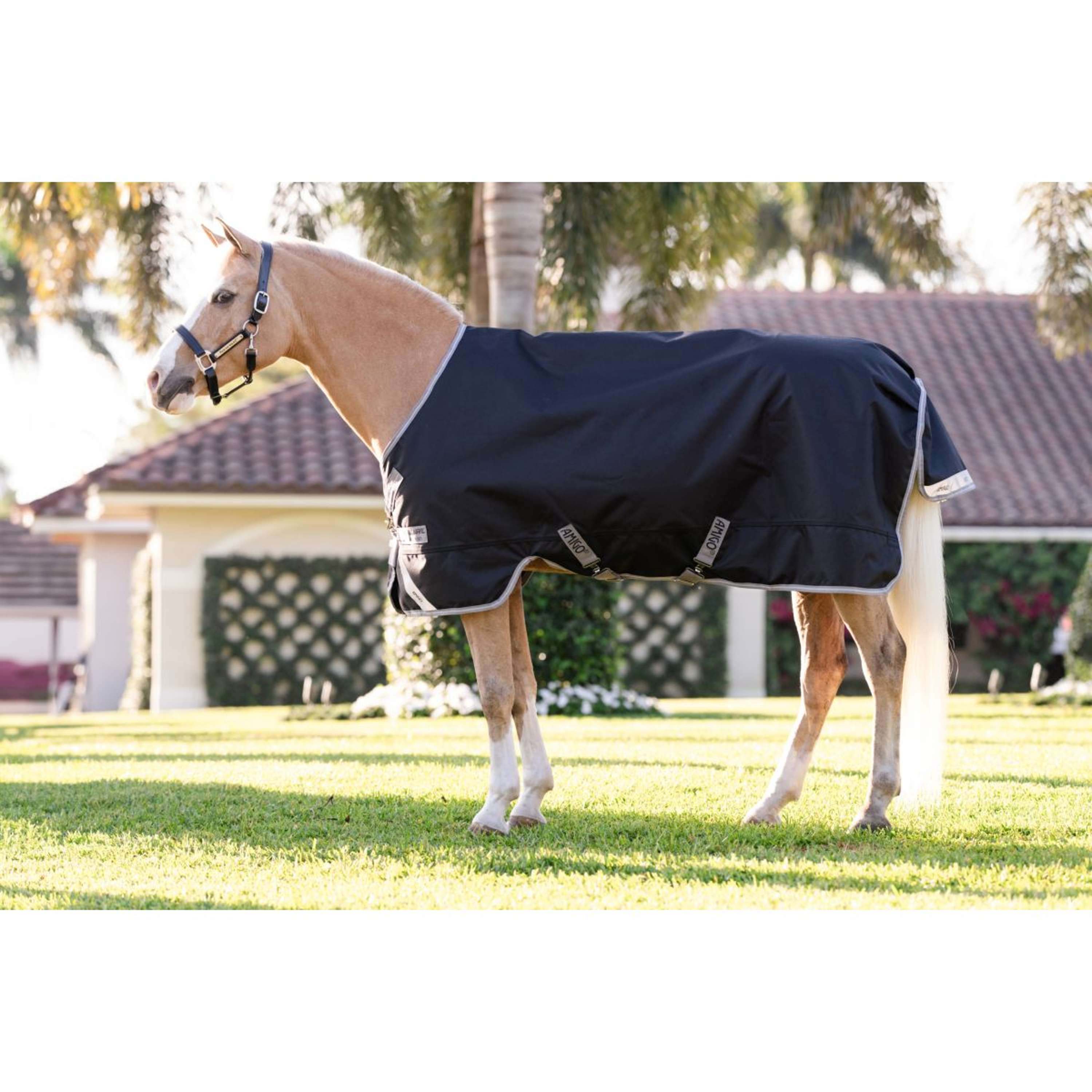 Amigo Turnout Rug 1200D Pony 250g Black/Titanium Grey/Silver