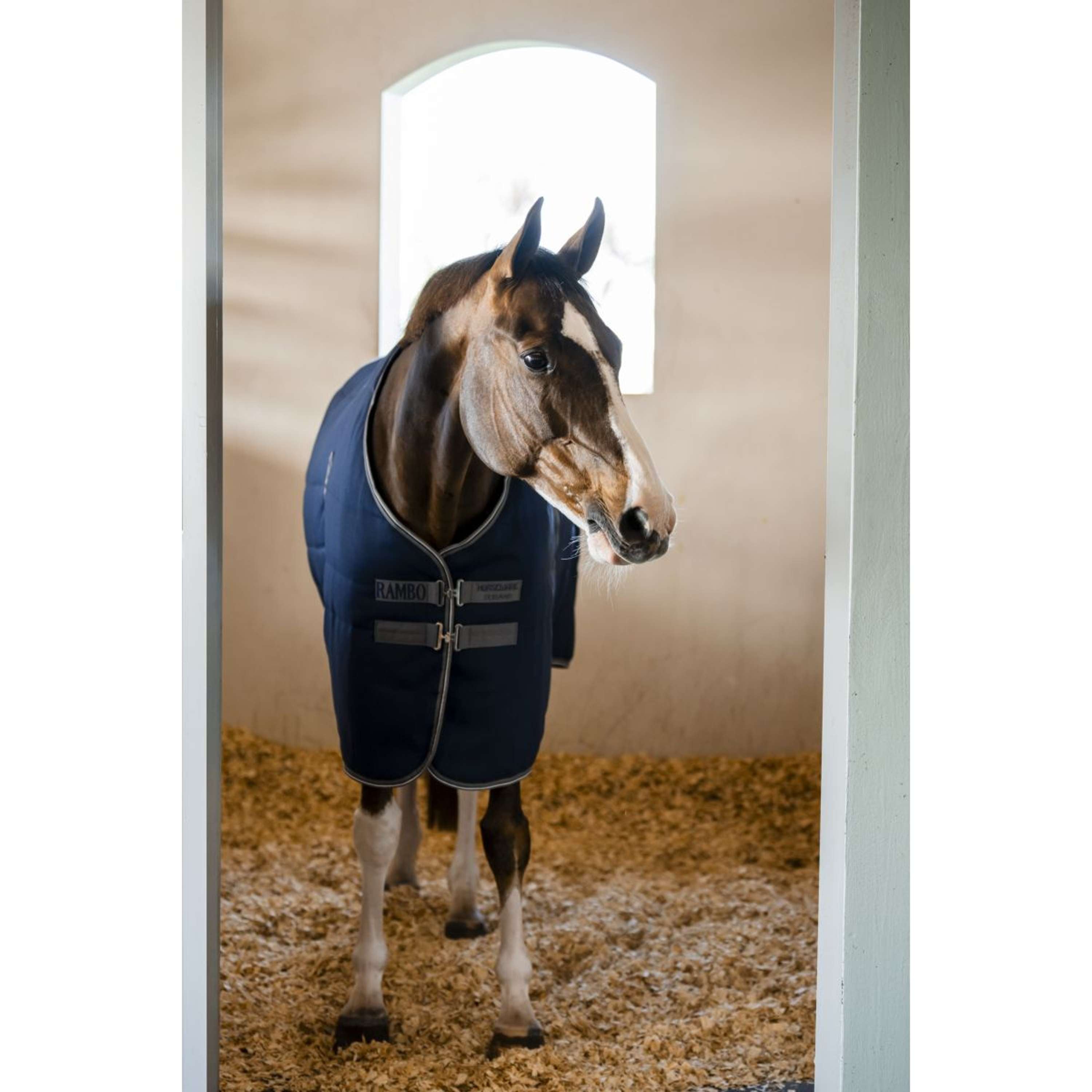 Rambo Stable Rug 100g Navy/Thunderstorm Grey/Silver
