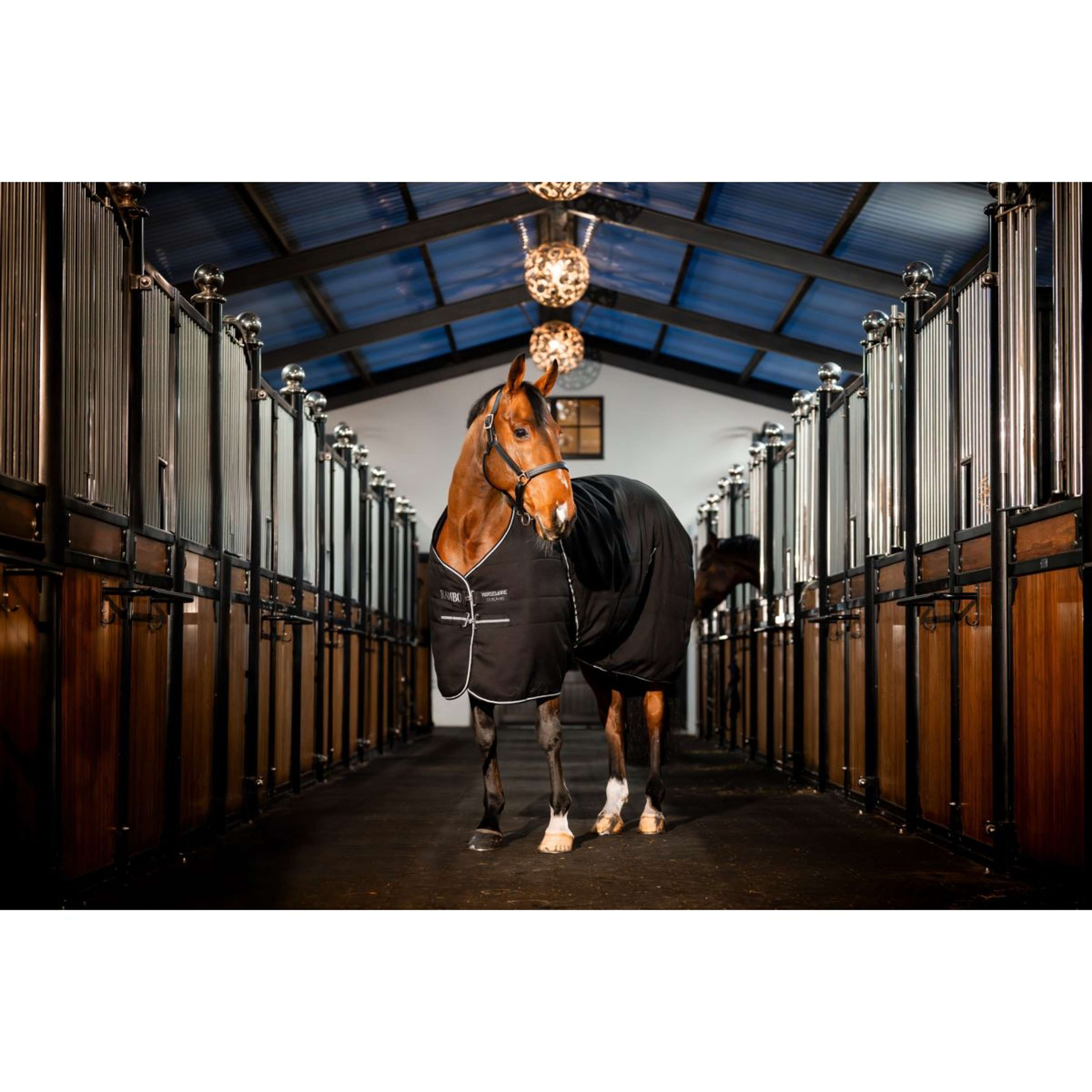 Rambo Stable Rug 400g Black/Thunderstorm Grey/Silver