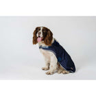 Horseware Dog Rug Newmarket Witney Navy