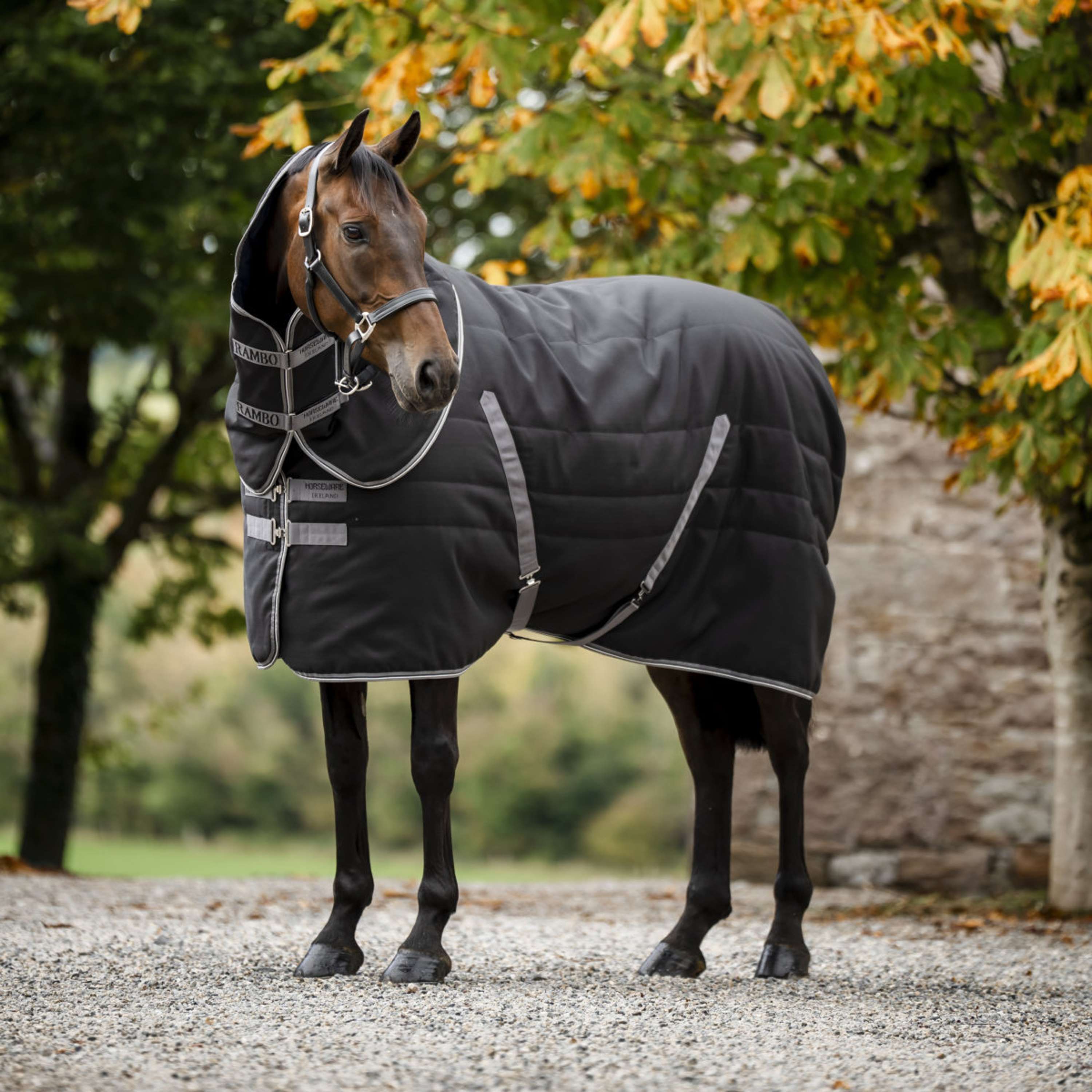 Rambo Stable Rug 200g Black/Thunderstorm Grey/Silver