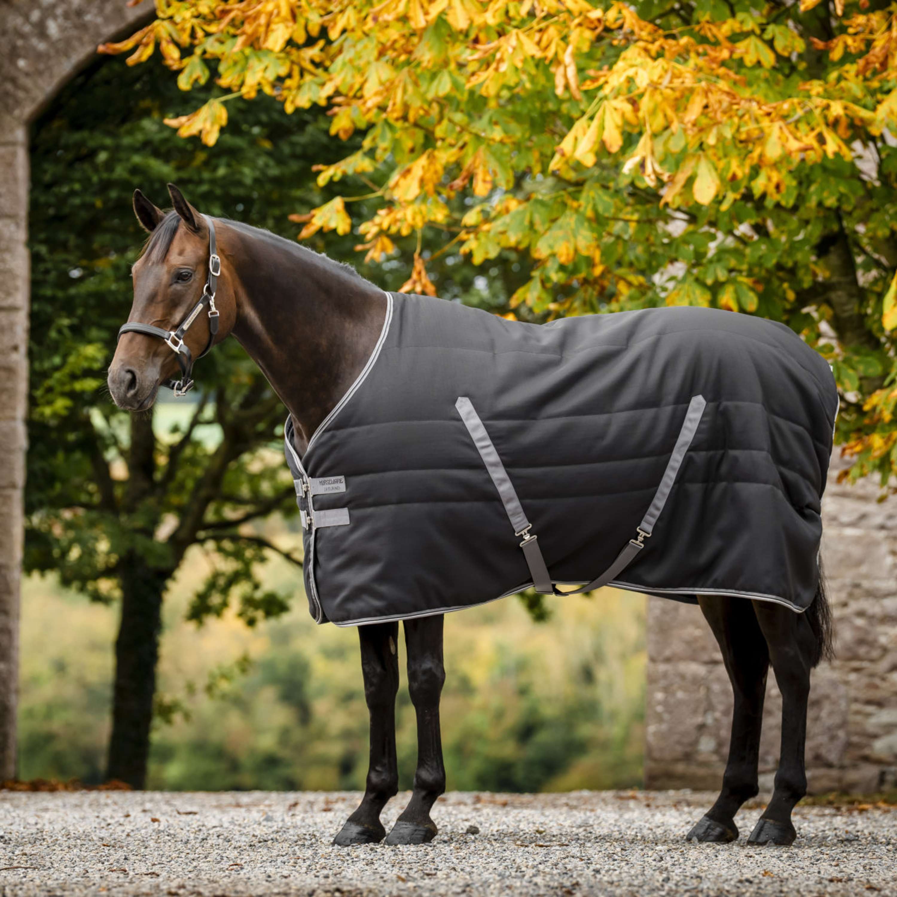 Rambo Stable Rug 200g Black/Thunderstorm Grey/Silver