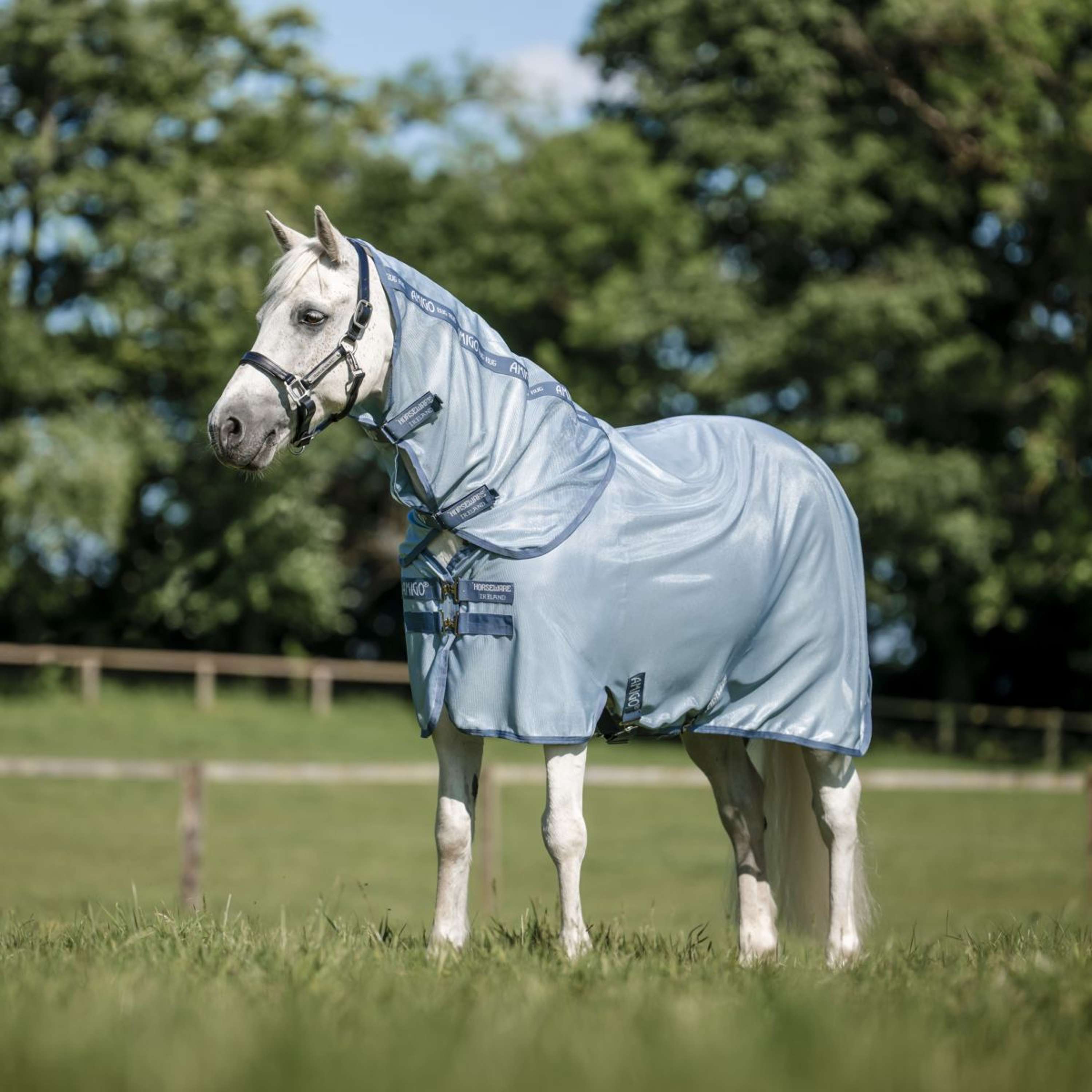 Amigo Bug Rug Plus Pony Heather Blue/Blue/Silver