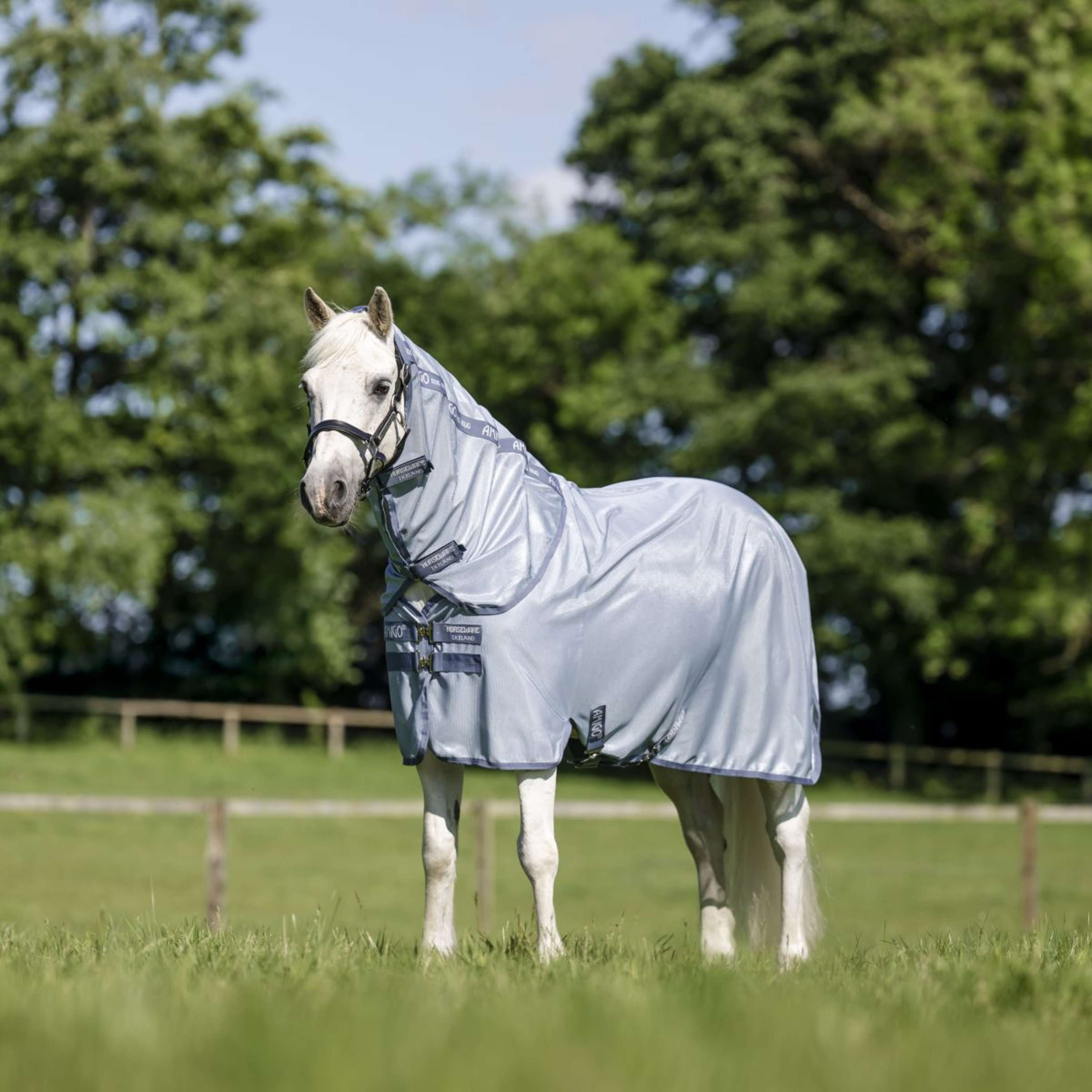 Amigo Bug Rug Plus Pony Heather Blue/Blue/Silver