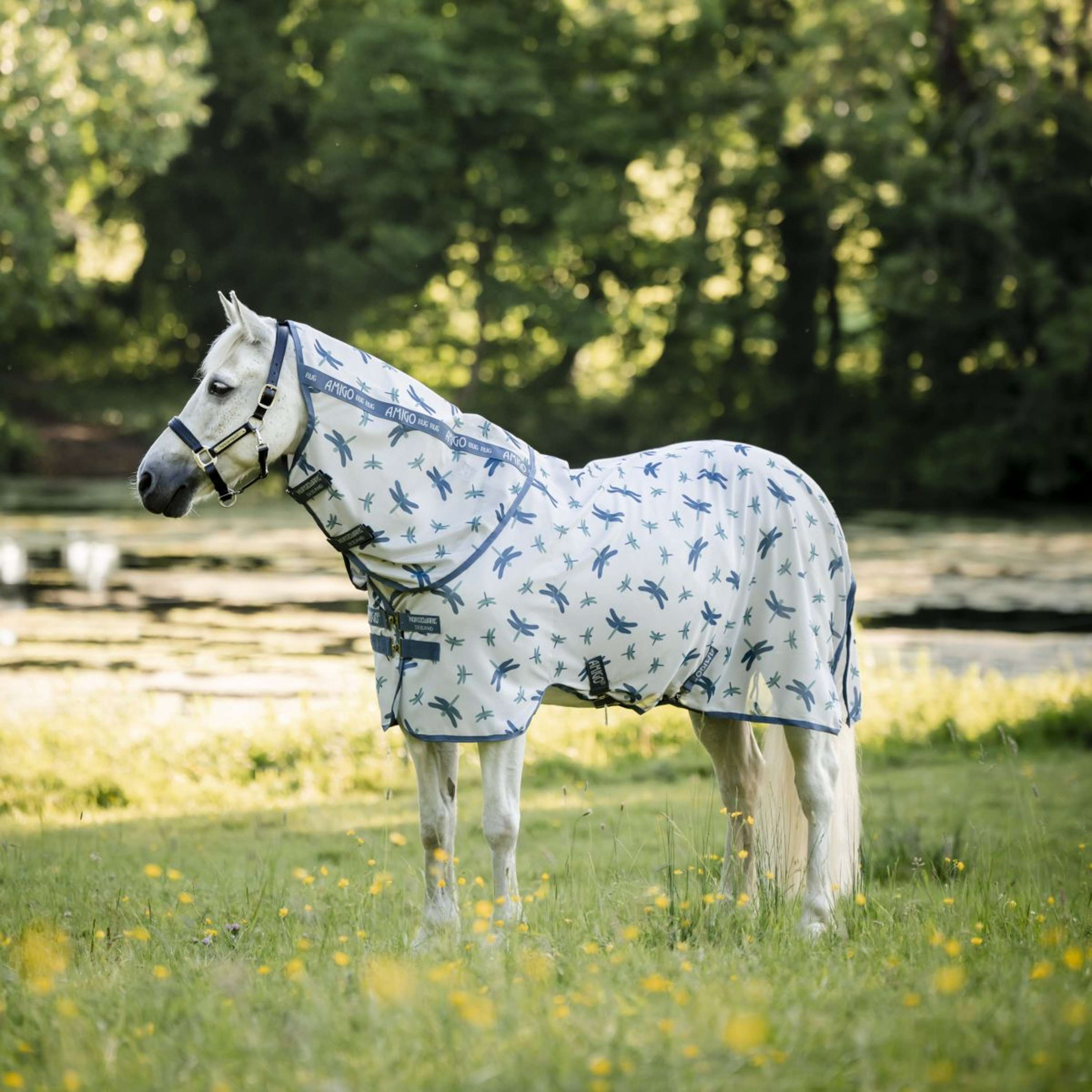 Amigo Bug Rug Plus Pony Dragonfly Print/Silver/Blue/Sage