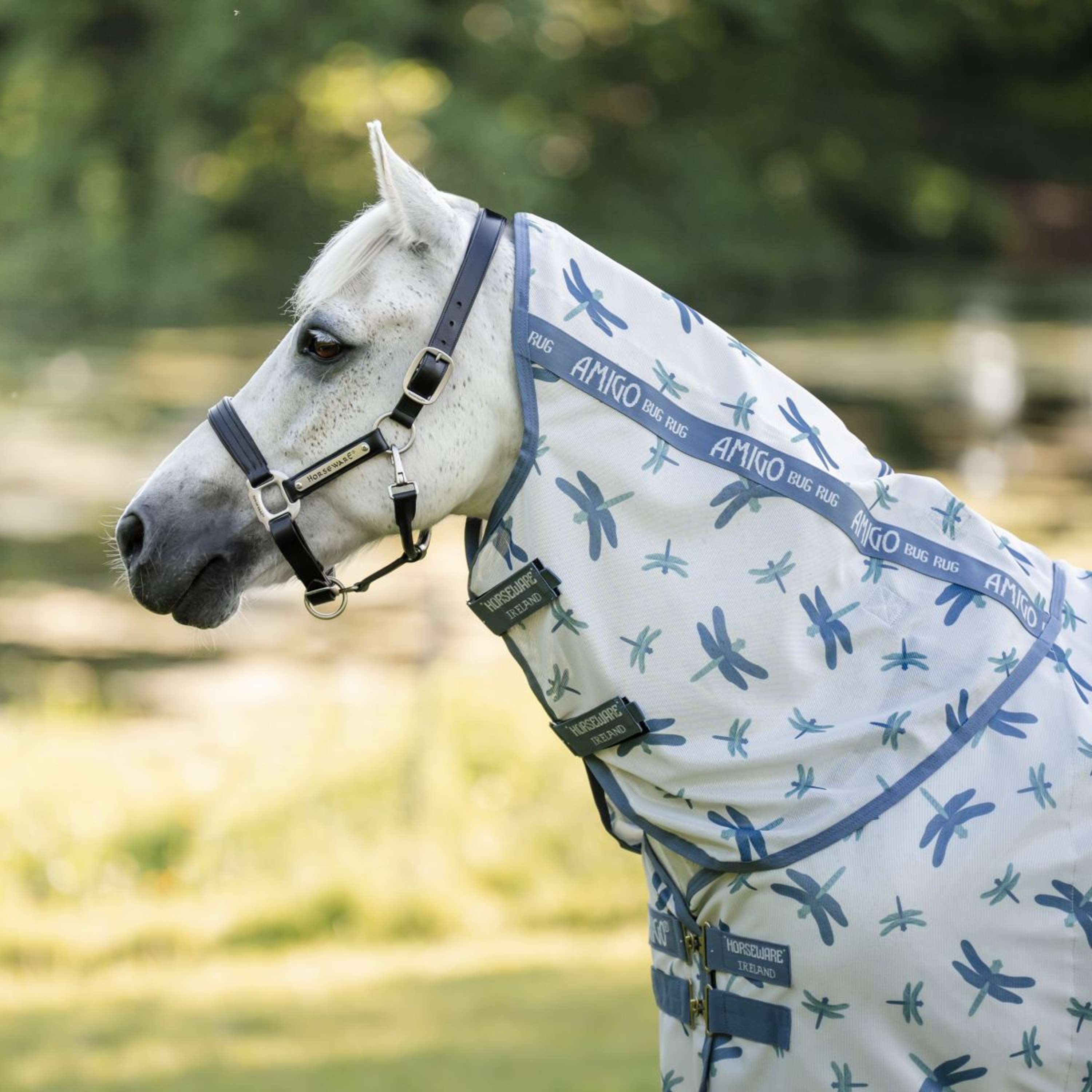 Amigo Bug Rug Plus Pony Dragonfly Print/Silver/Blue/Sage