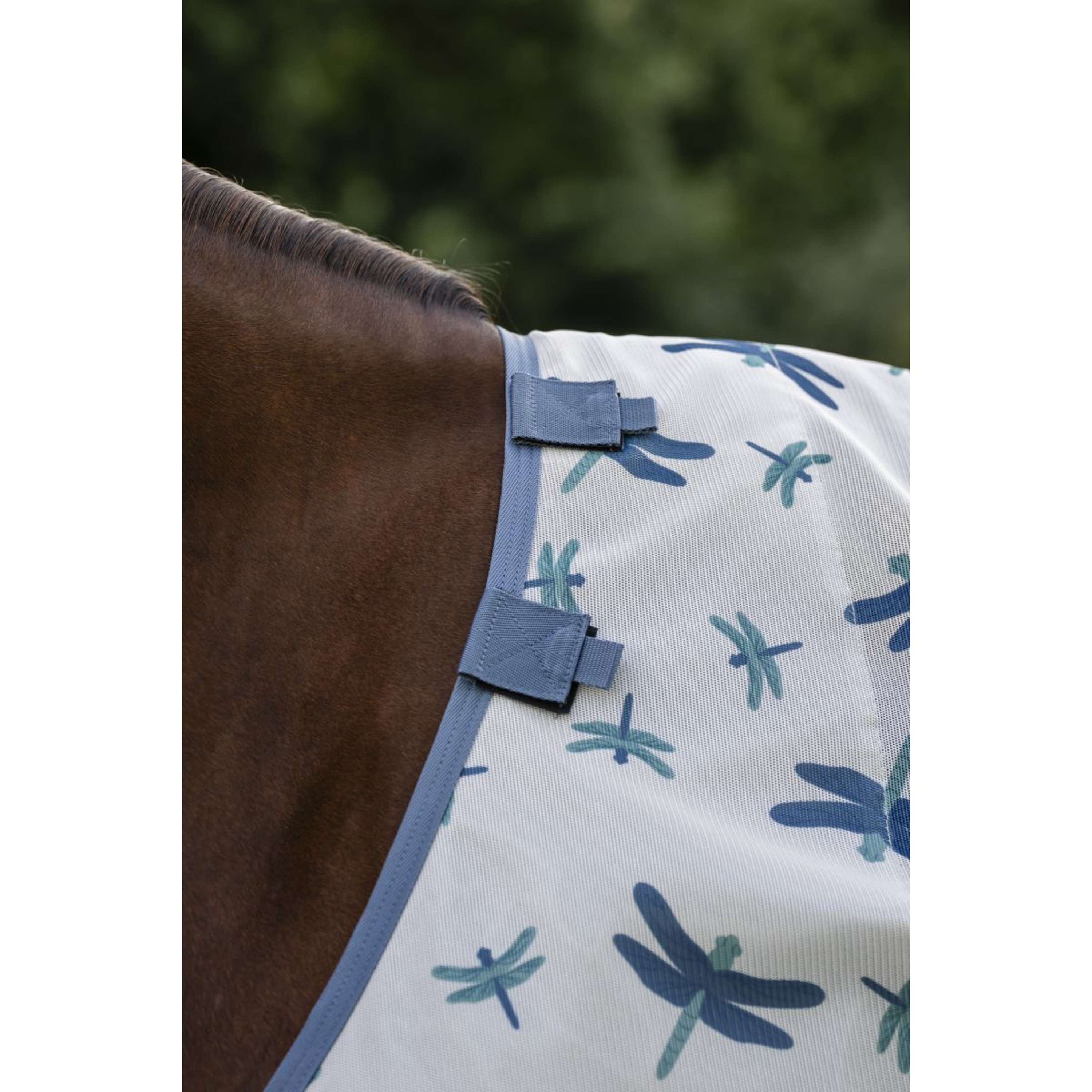 Amigo Bug Rug Pony Dragonfly Print/Silver/Blue/Sage