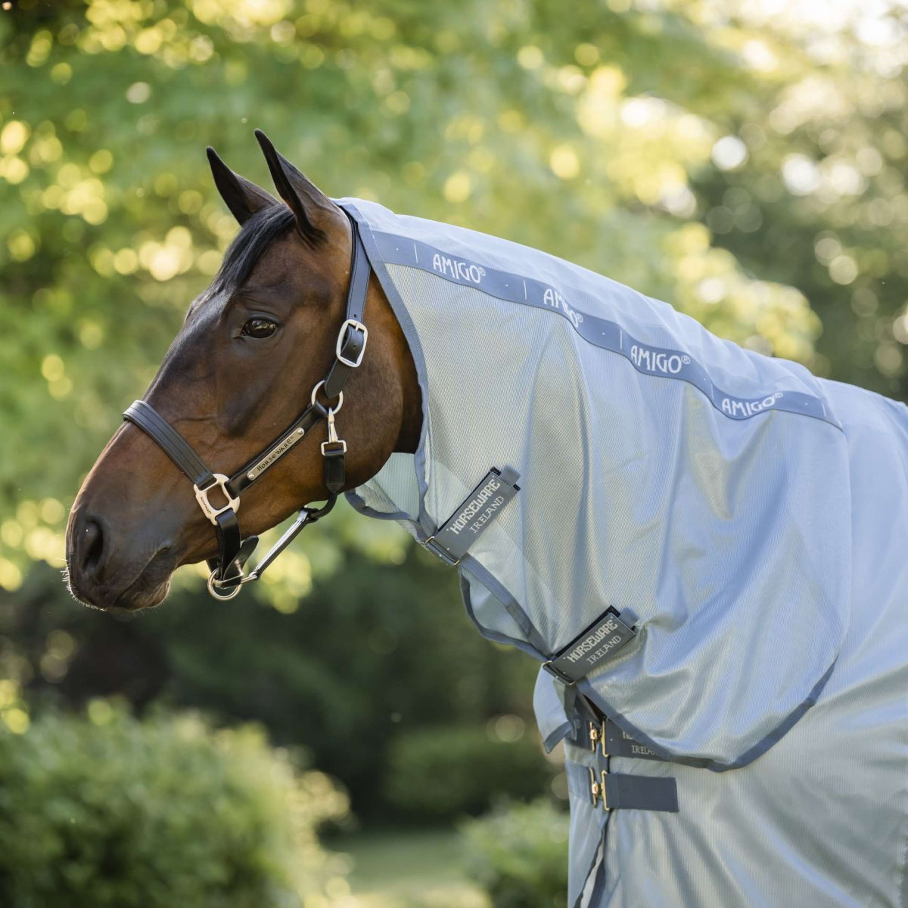 Amigo Fly Rug Integrated Heather Blue/Blue/Silver