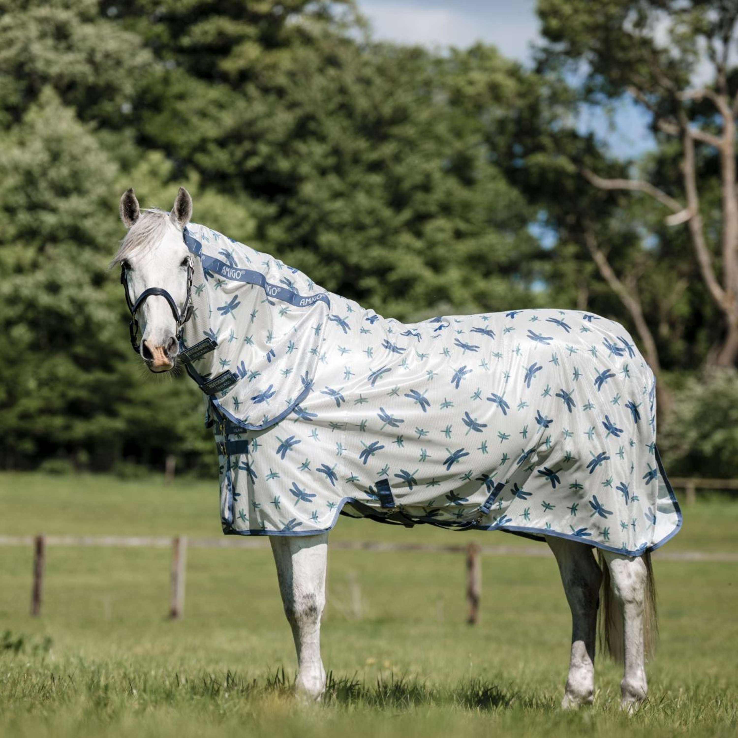 Amigo Fly Rug Integrated Dragonfly Print/Silver/Blue/Sage