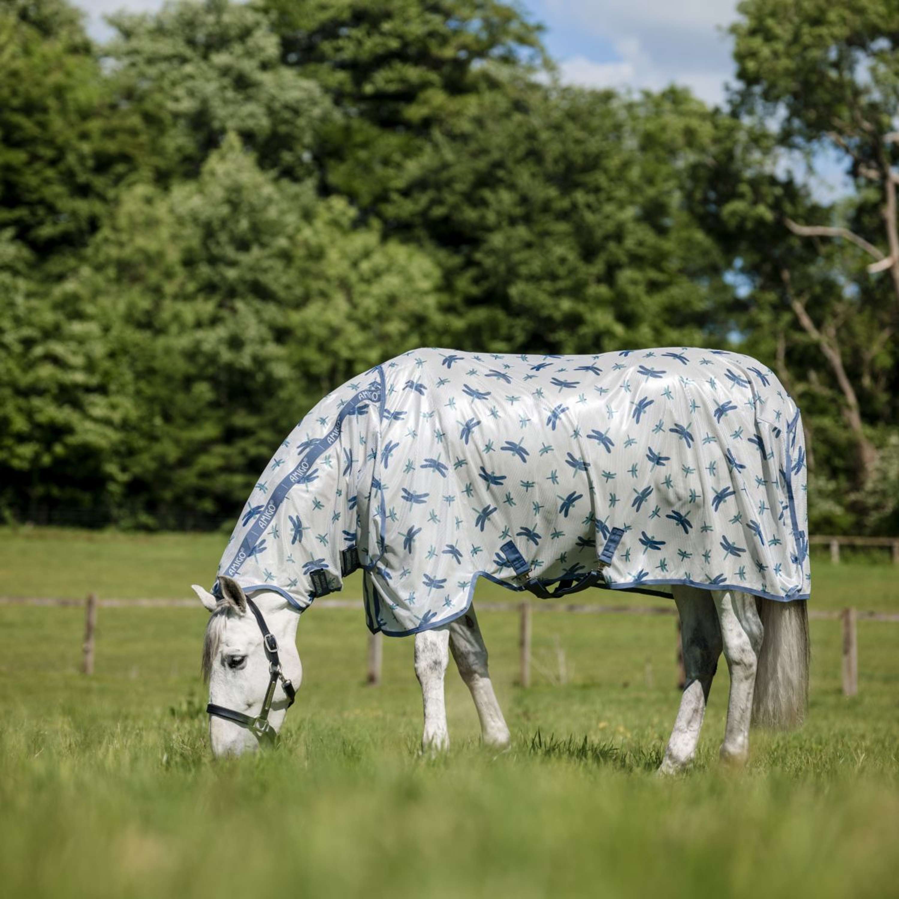Amigo Fly Rug Integrated Dragonfly Print/Silver/Blue/Sage