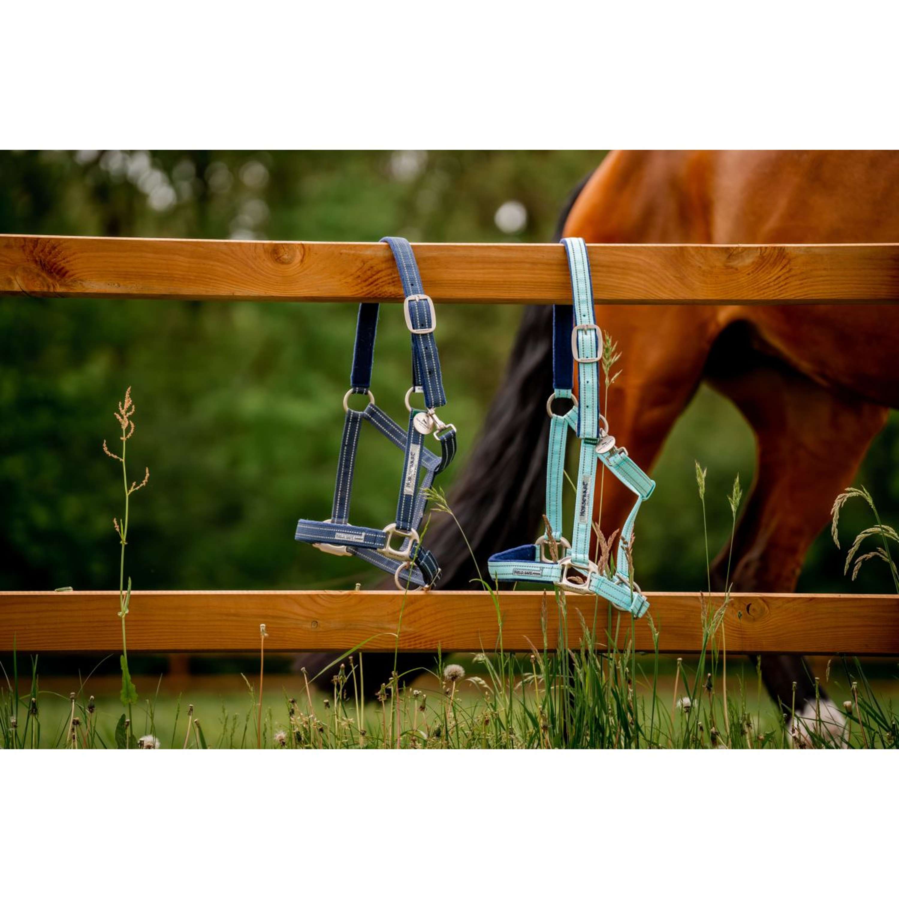 Horseware Halter Field Safe Blue Haze