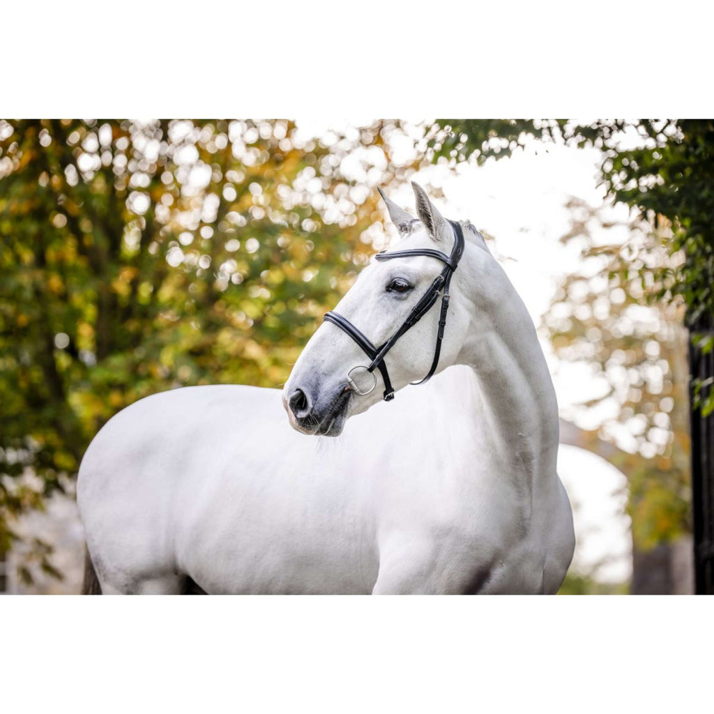 Horseware Bridle Cavesson Black