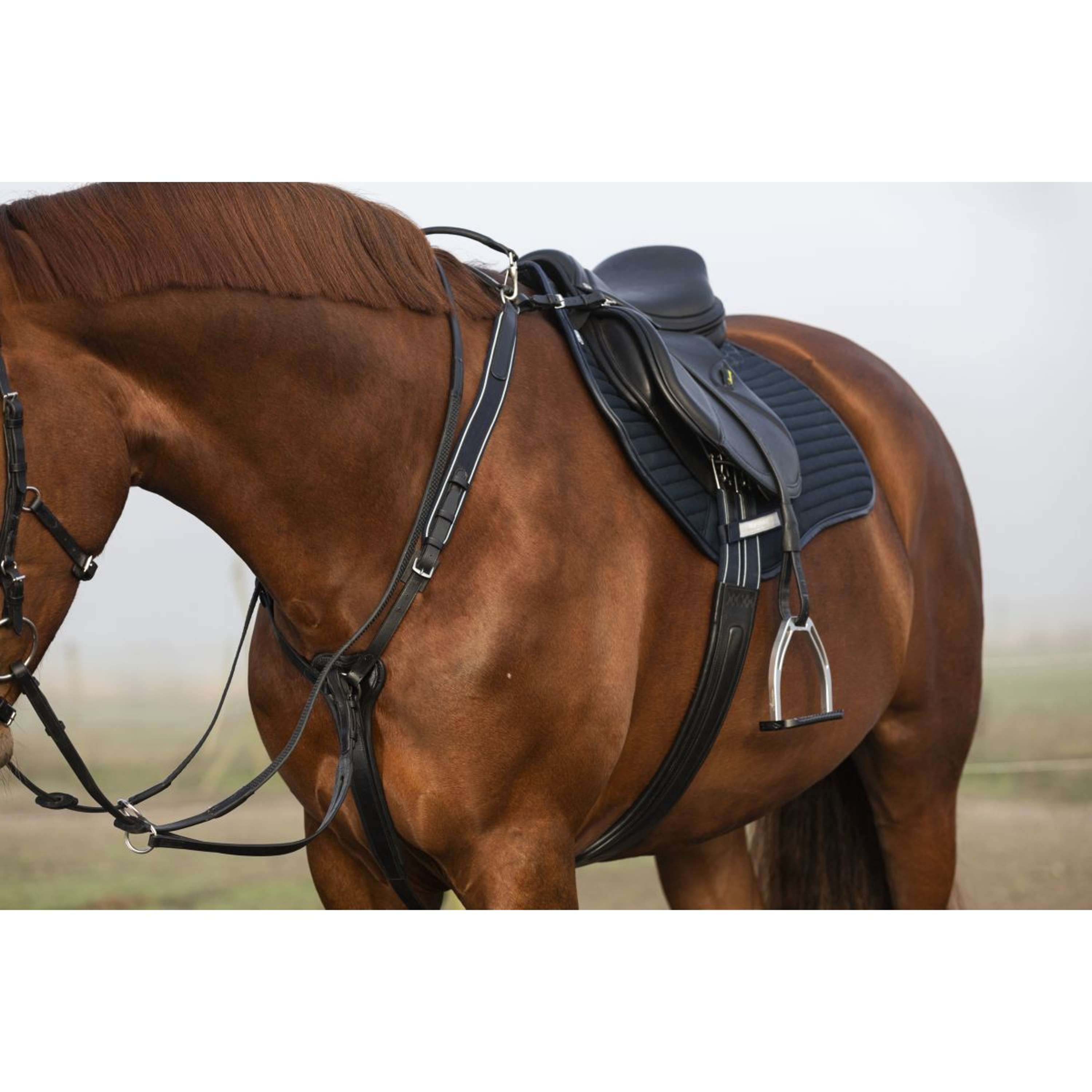 Horseware Micklem Chest Buckle with a Martingale Black
