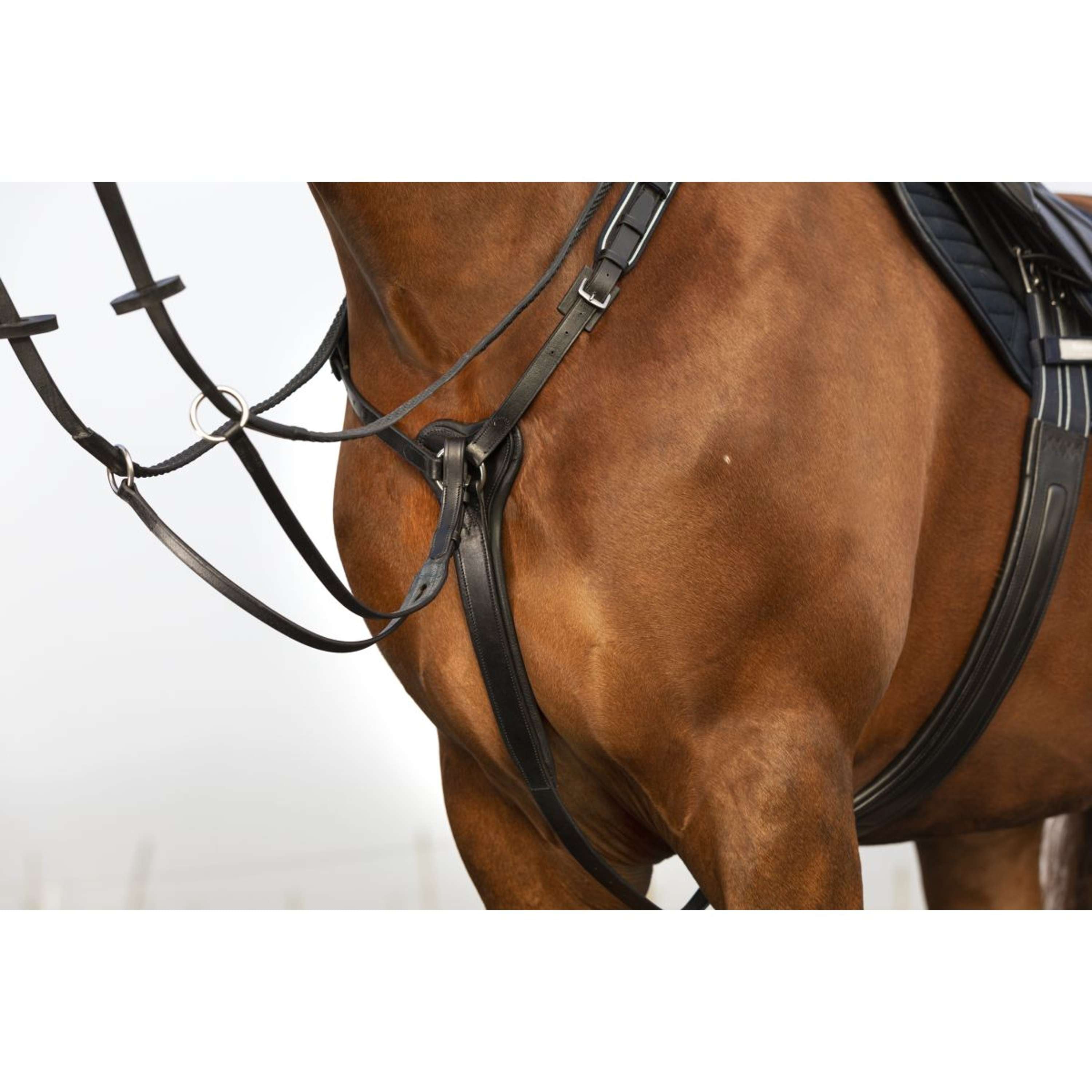 Horseware Micklem Chest Buckle with a Martingale Black