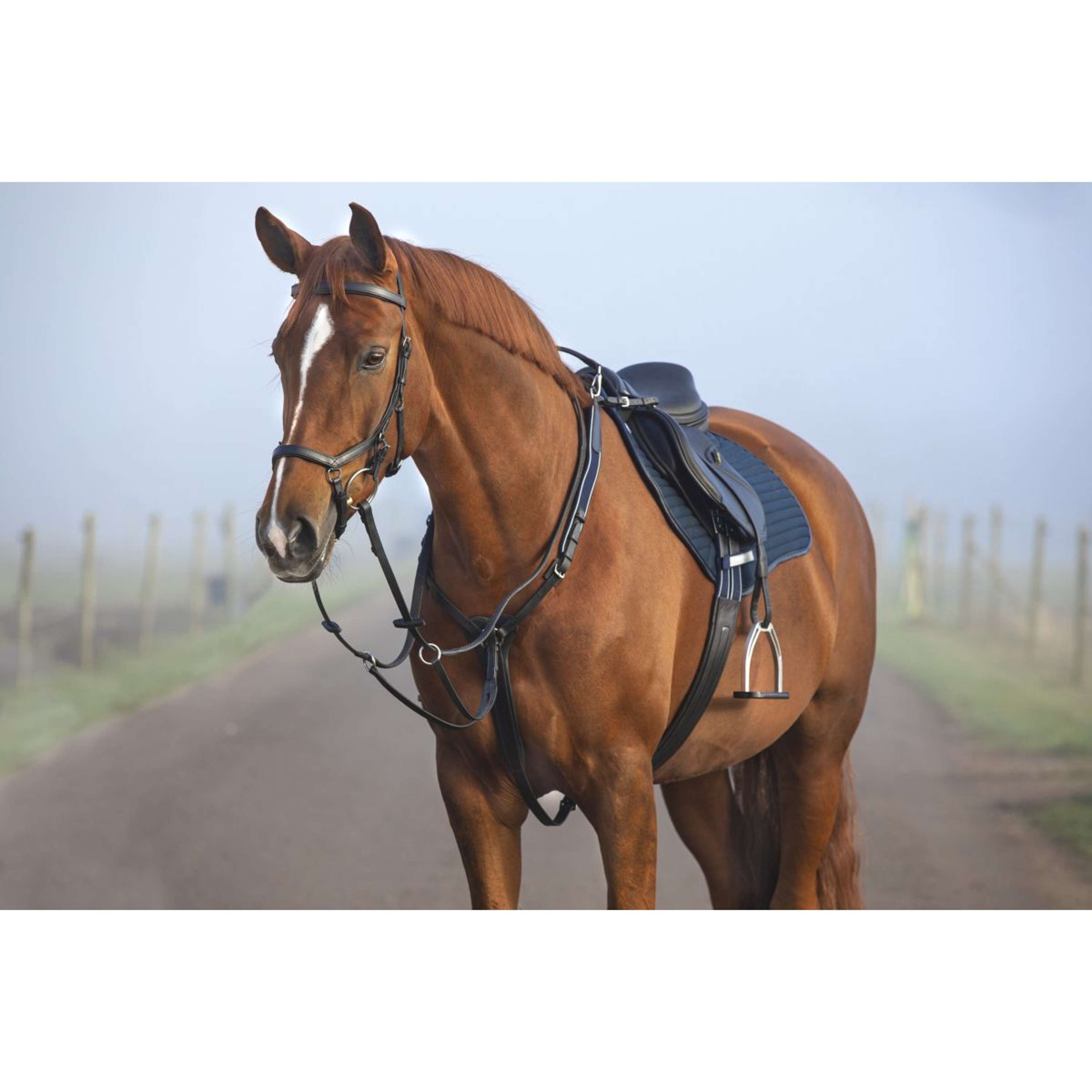 Horseware Micklem Chest Buckle with a Martingale Black