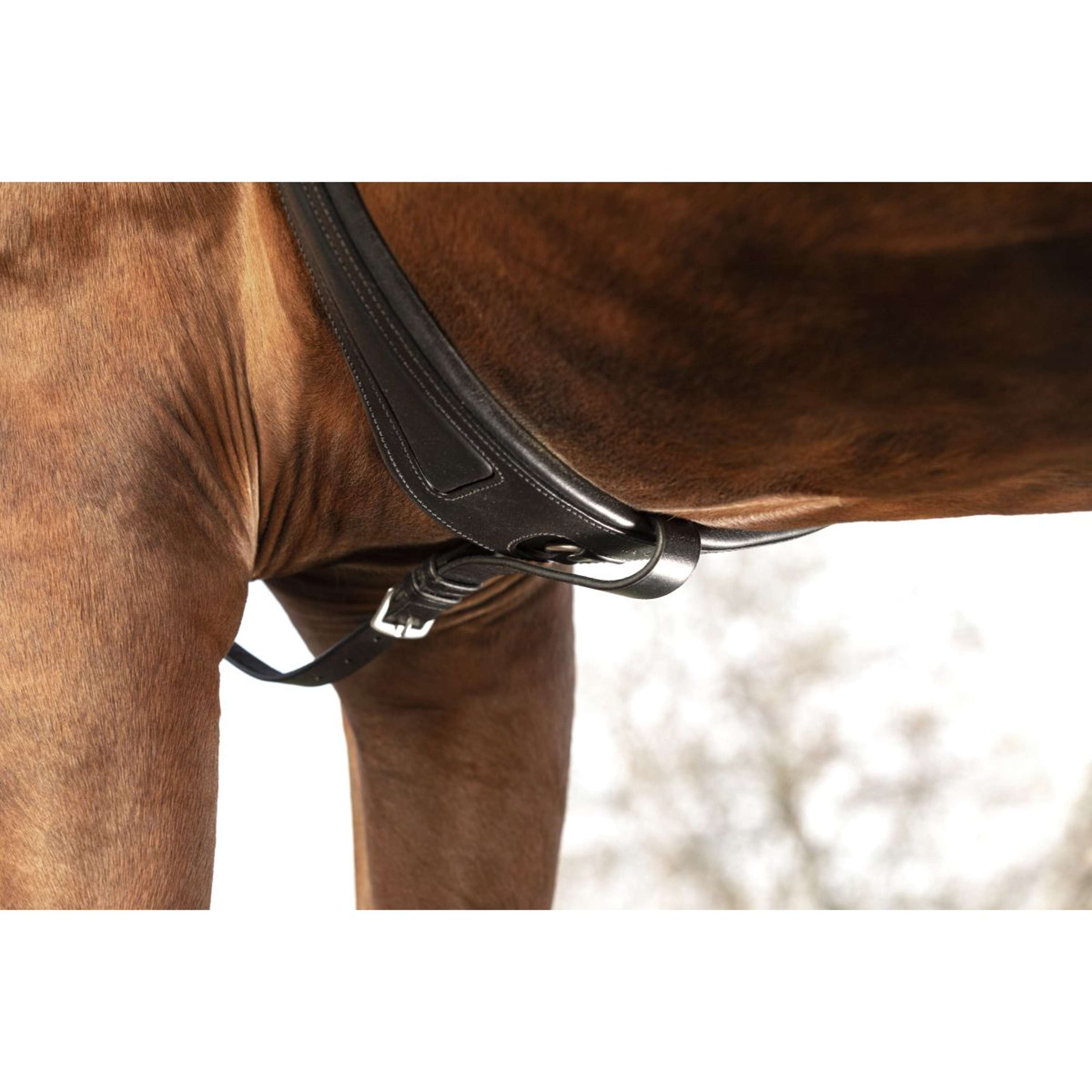Horseware Micklem Chest Buckle with a Martingale Black