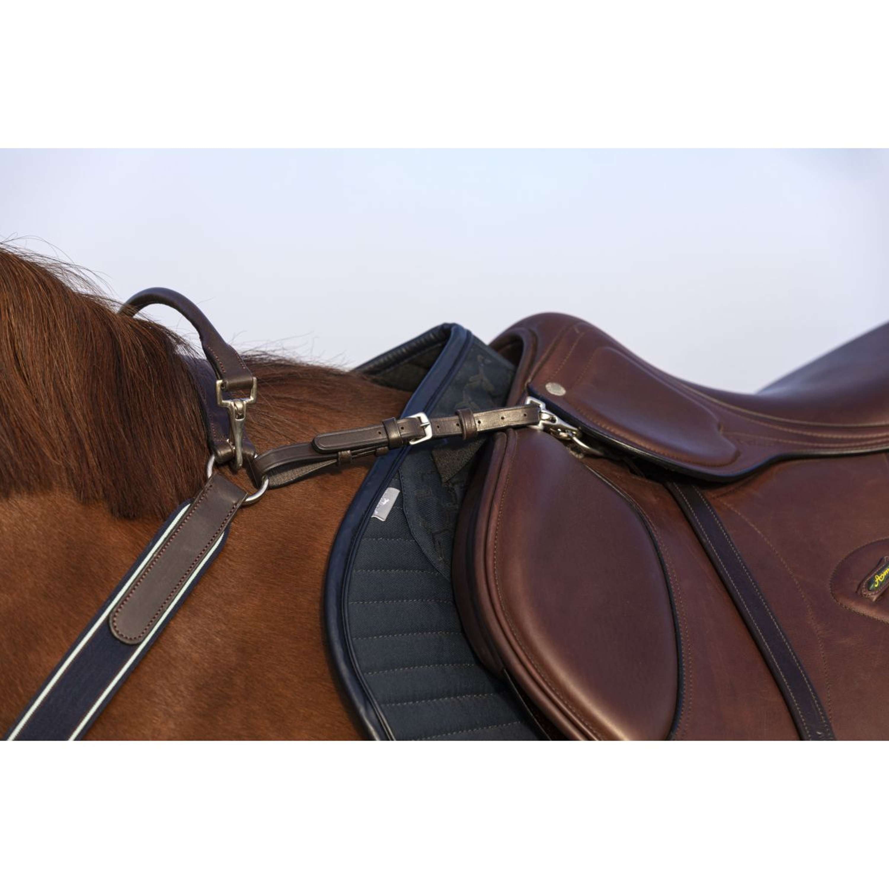 Horseware Micklem Chest Buckle with a Martingale Brown