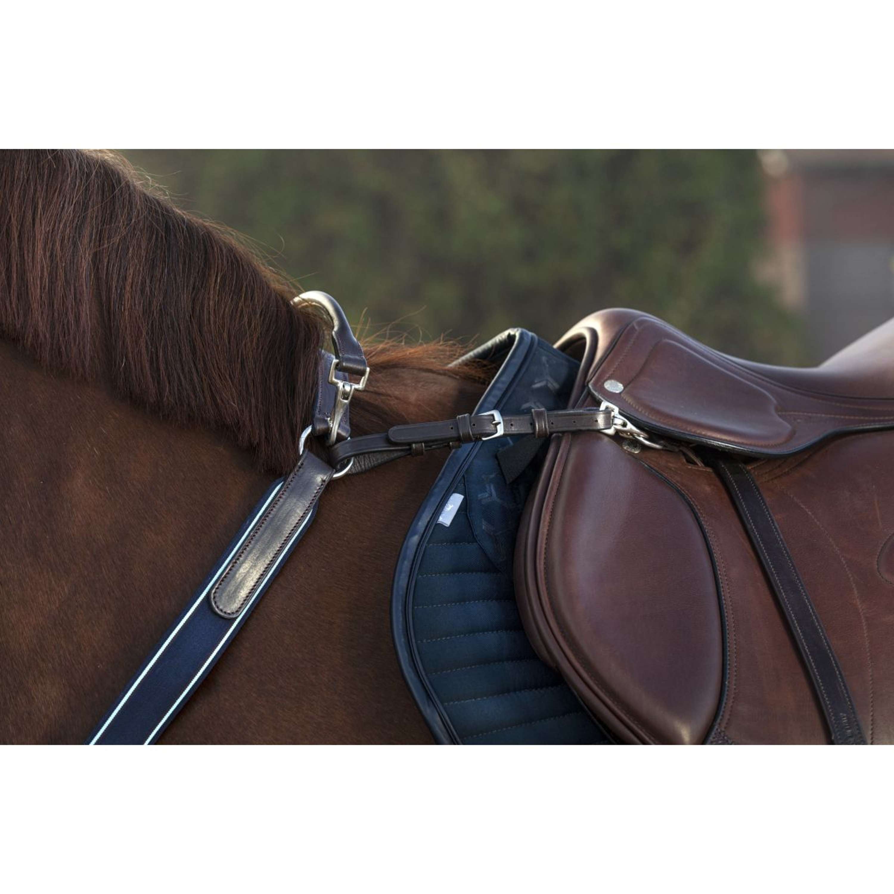 Horseware Micklem Chest Buckle with a Martingale Brown