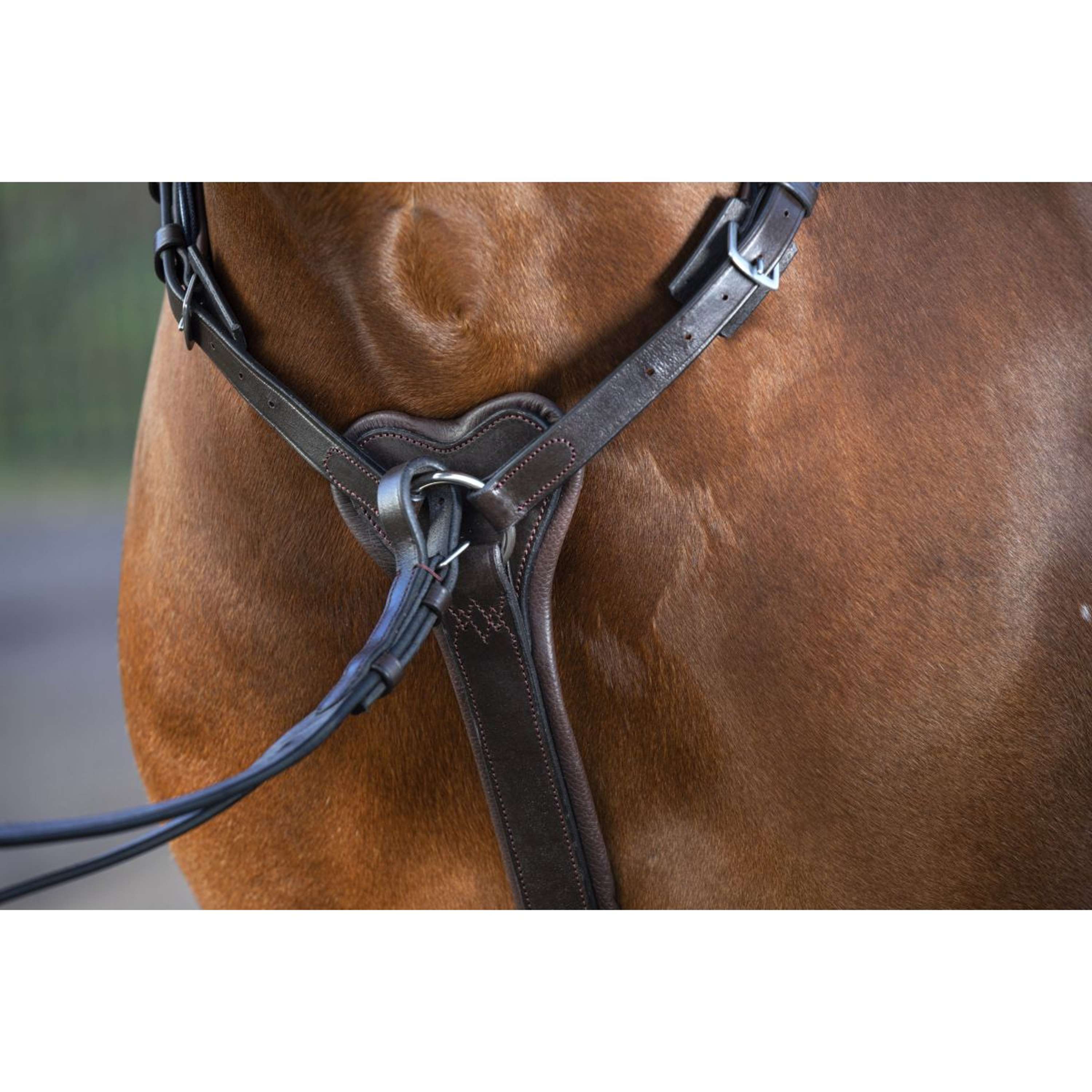 Horseware Micklem Chest Buckle with a Martingale Brown
