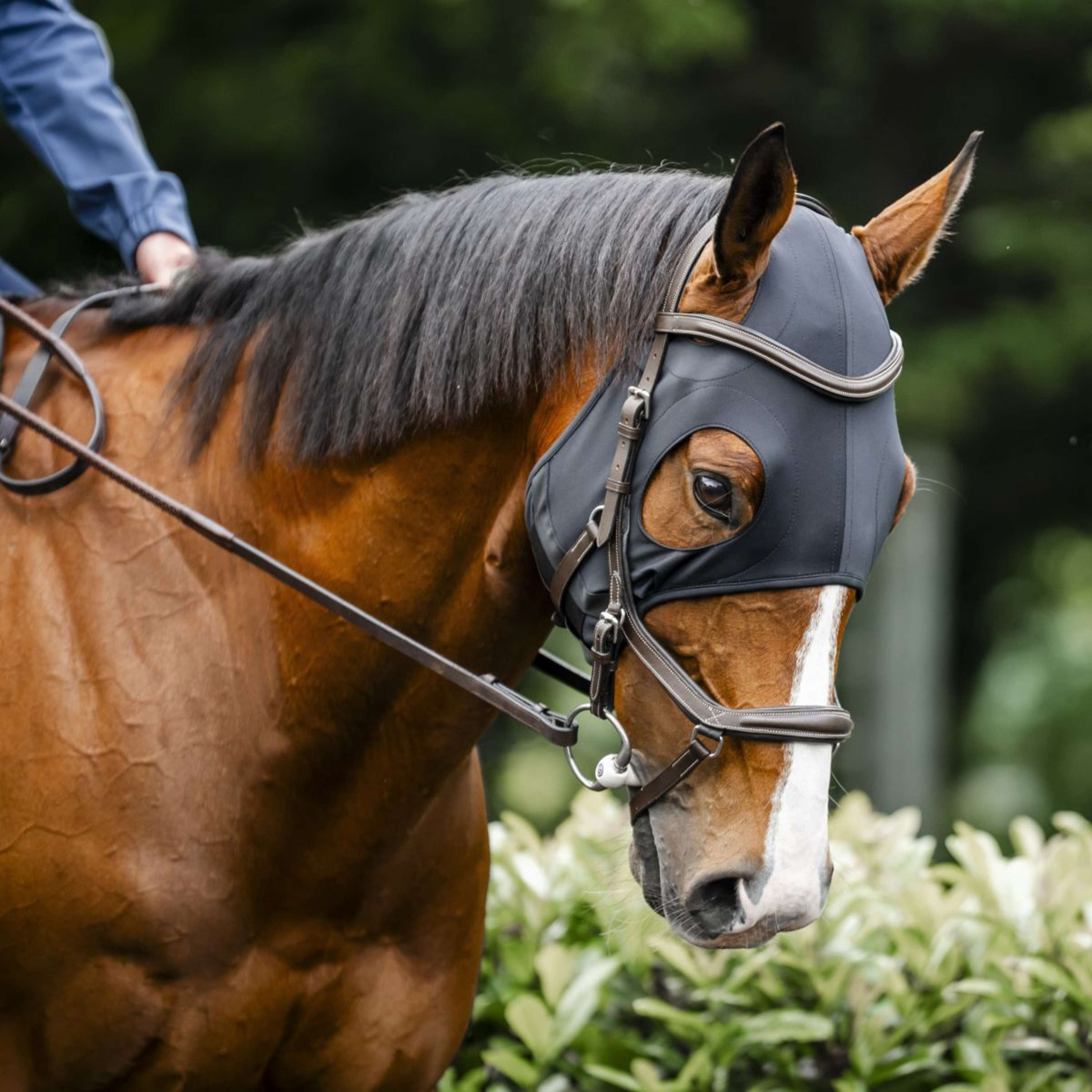 Horseware Calming Face Mask Ionic Black