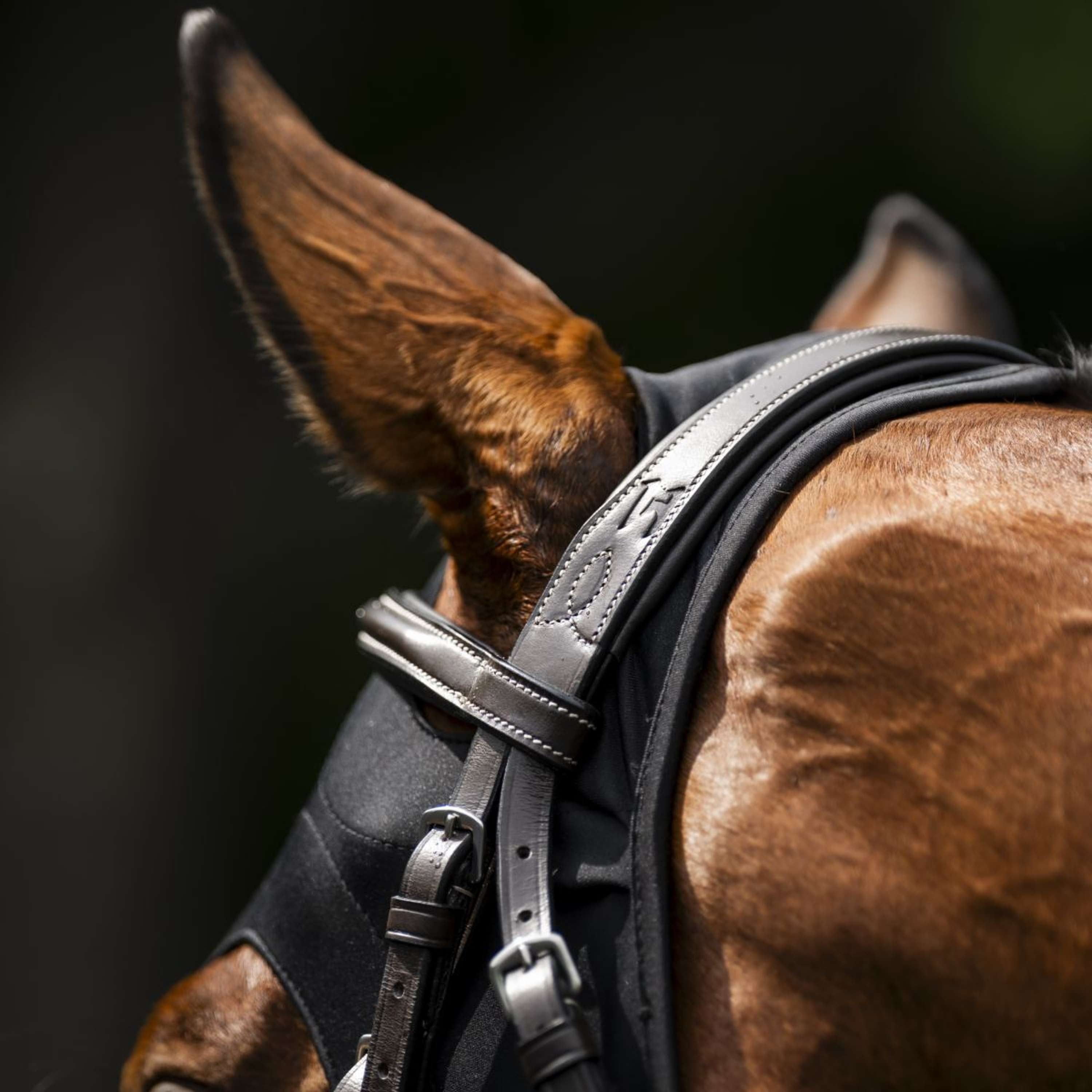 Horseware Calming Face Mask Ionic Black