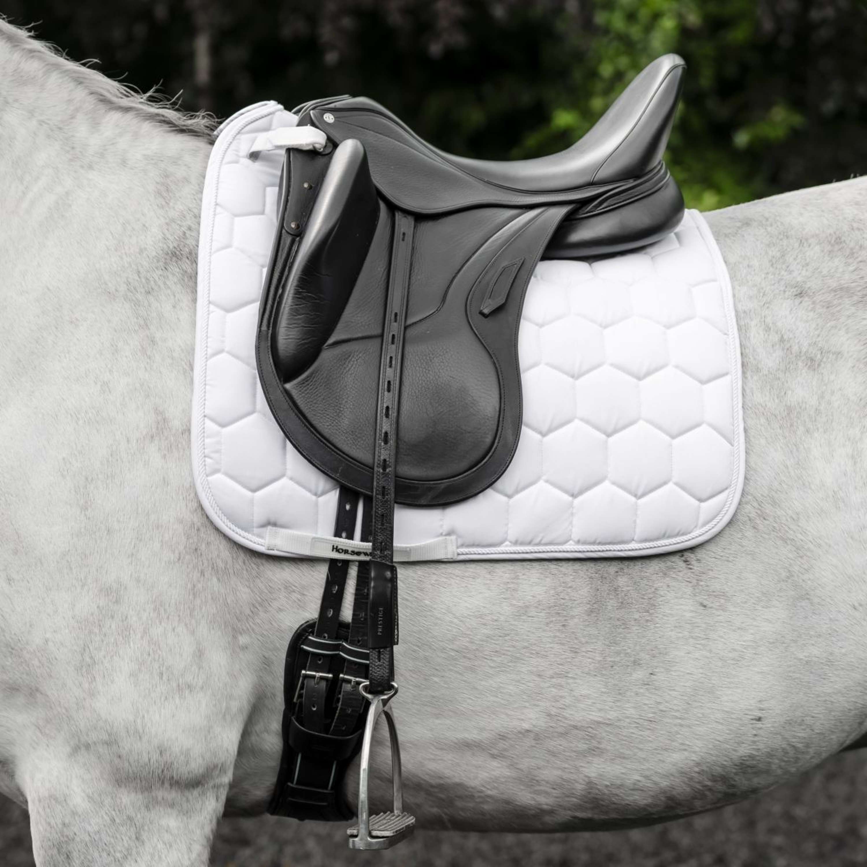 Horseware Saddlepad Ionic Dressage White