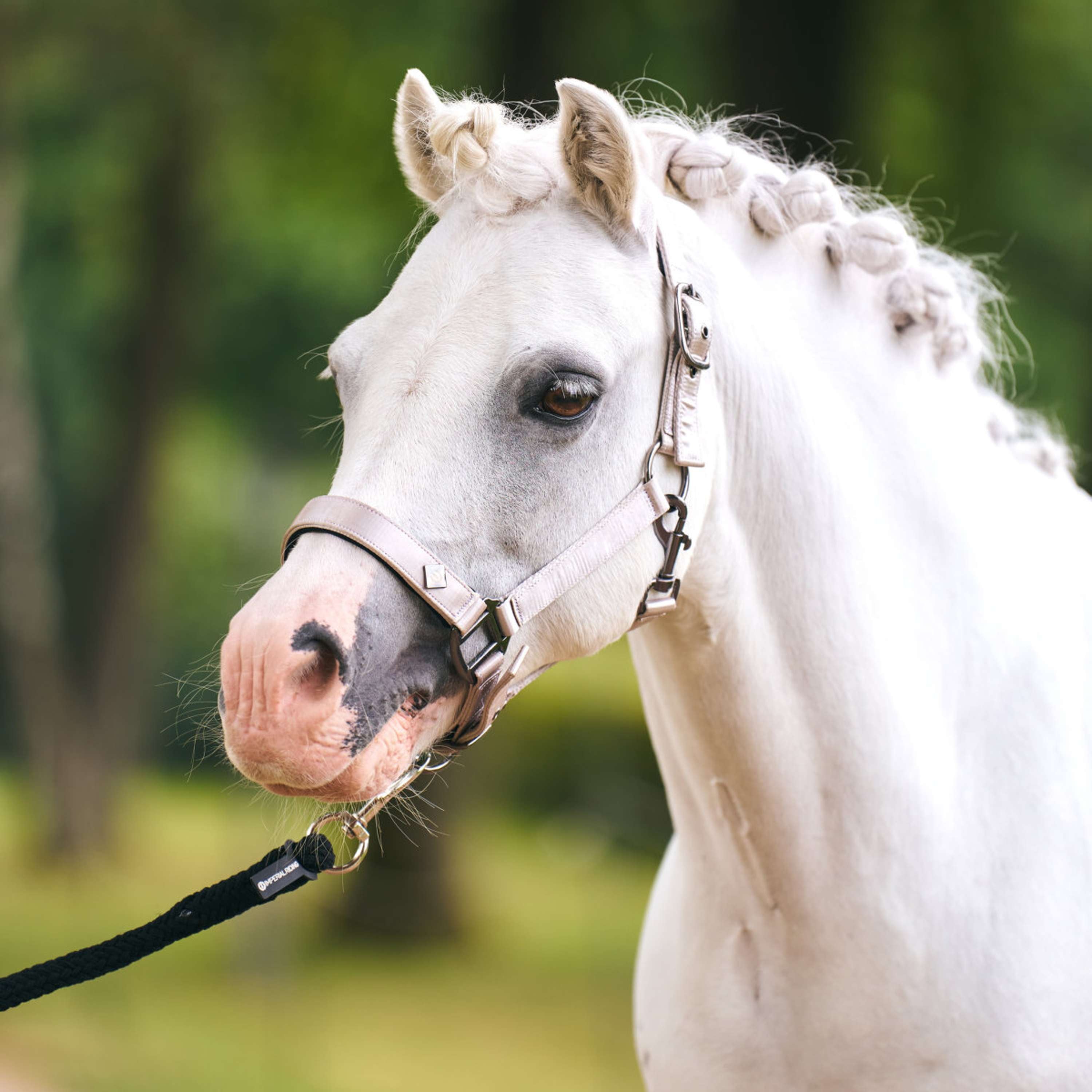 Imperial Riding Halter IRHRebel Grey