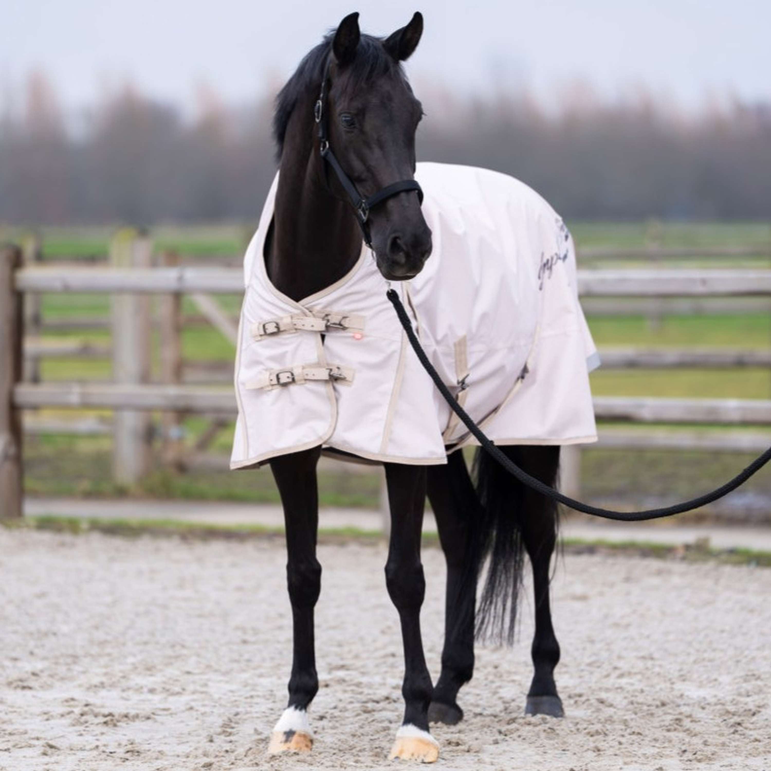 Imperial Riding Outdoor Rug IRHSuper-dry AOP 100g Taupe