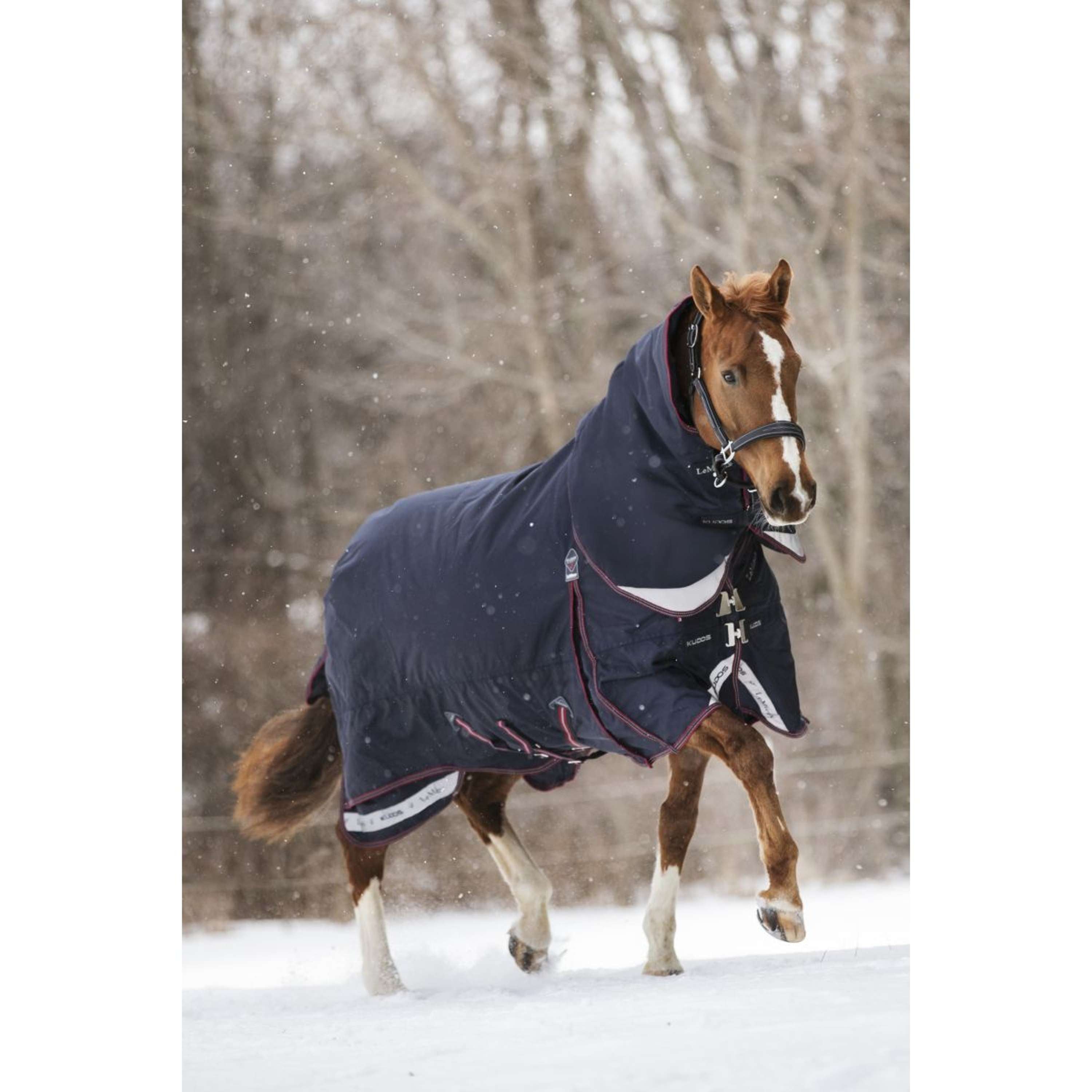 LeMieux Rug Kudos Turnout 350g Navy