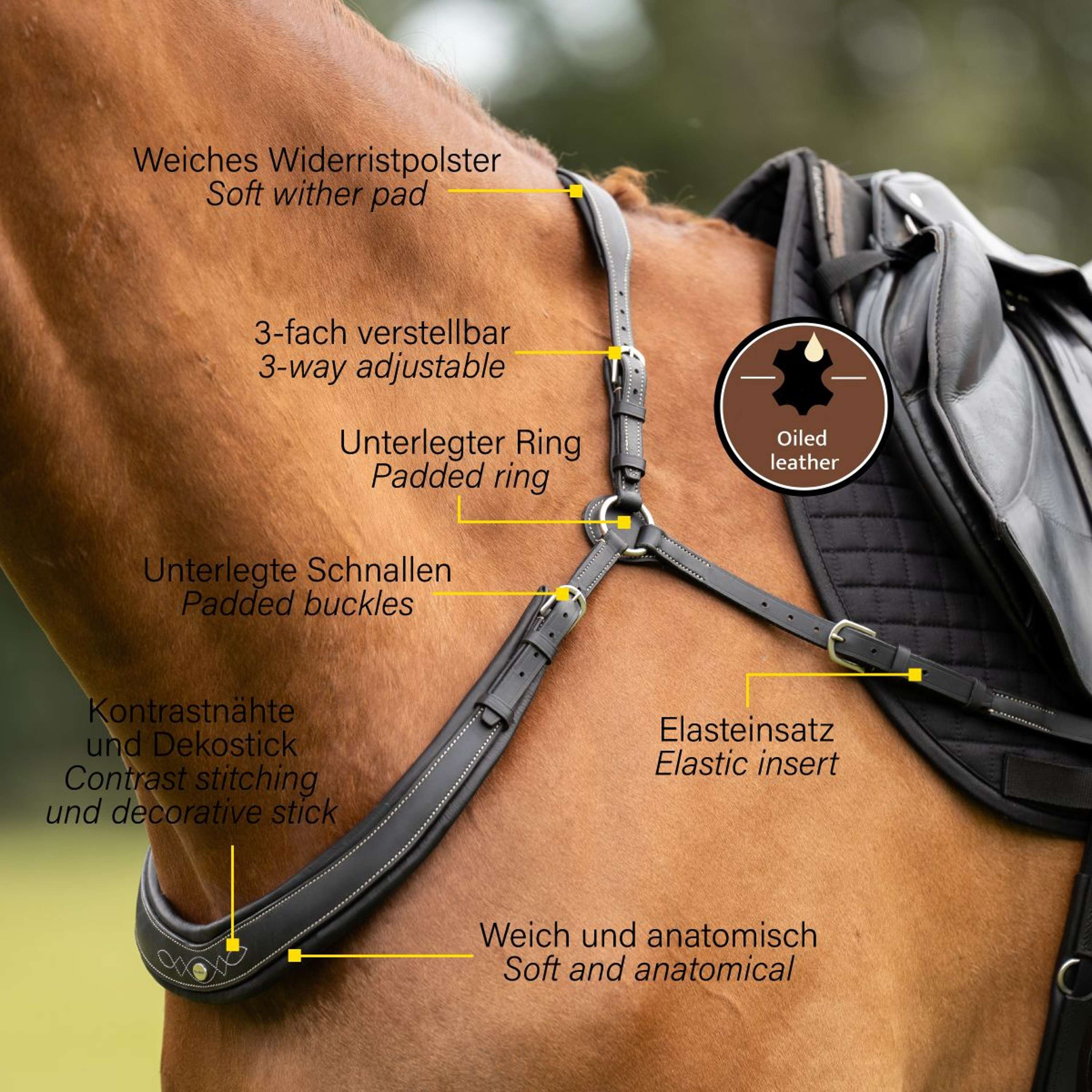 Kavalkade Chest Buckle Jerome 2-Point Brown