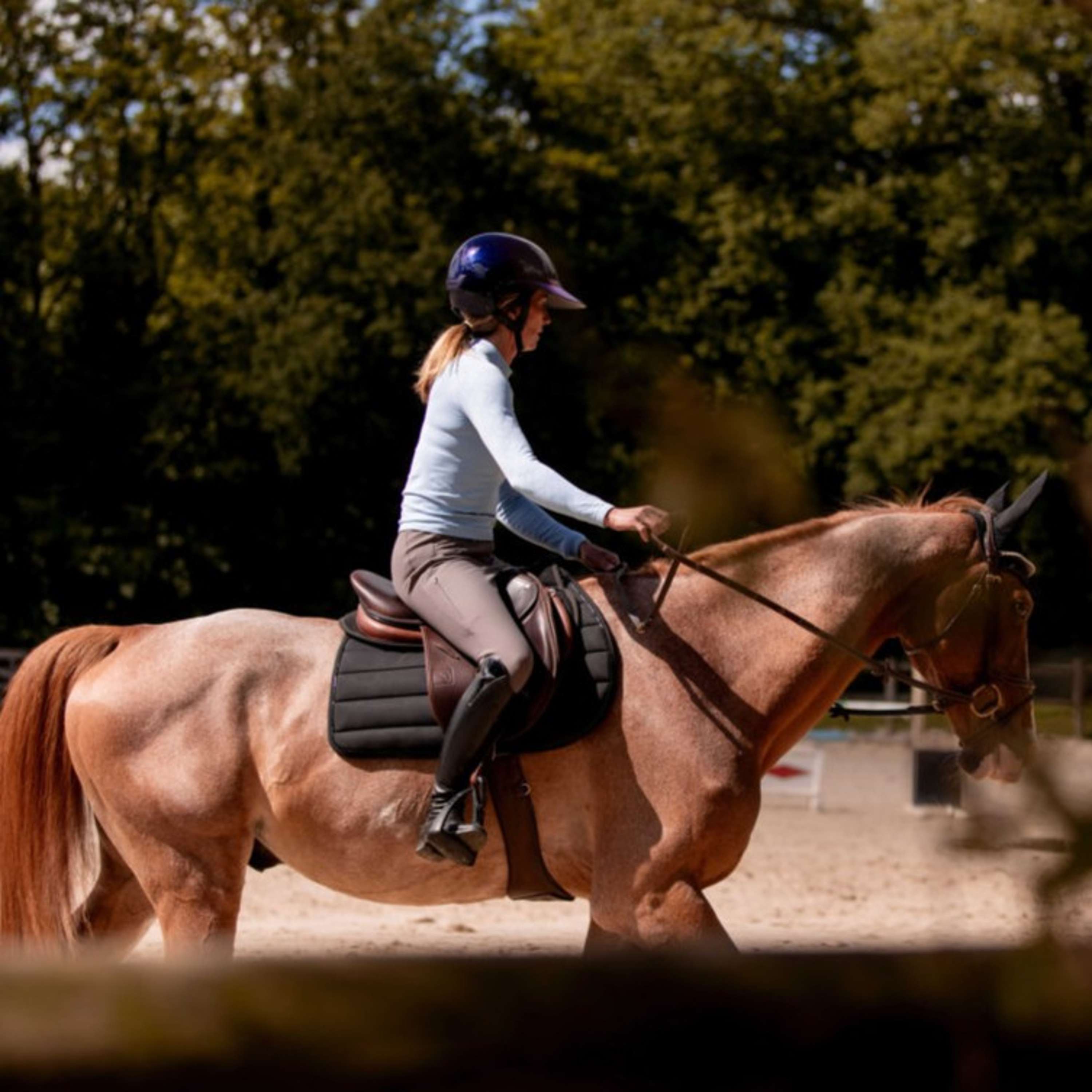 K by EQUITHÈME Saddlepad Vega All Purpose Black