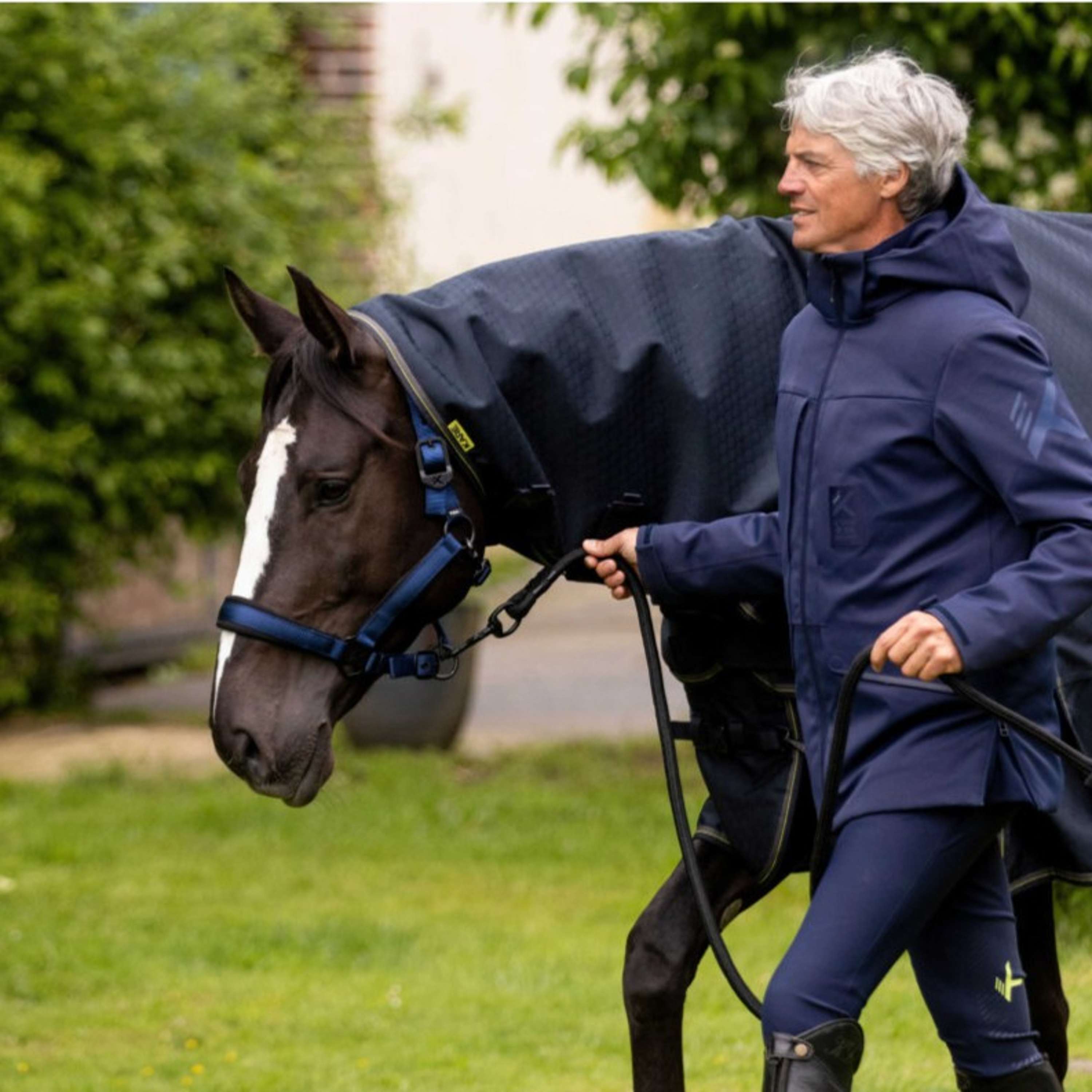 K by EQUITHÈME Halter Triton Royal Blue