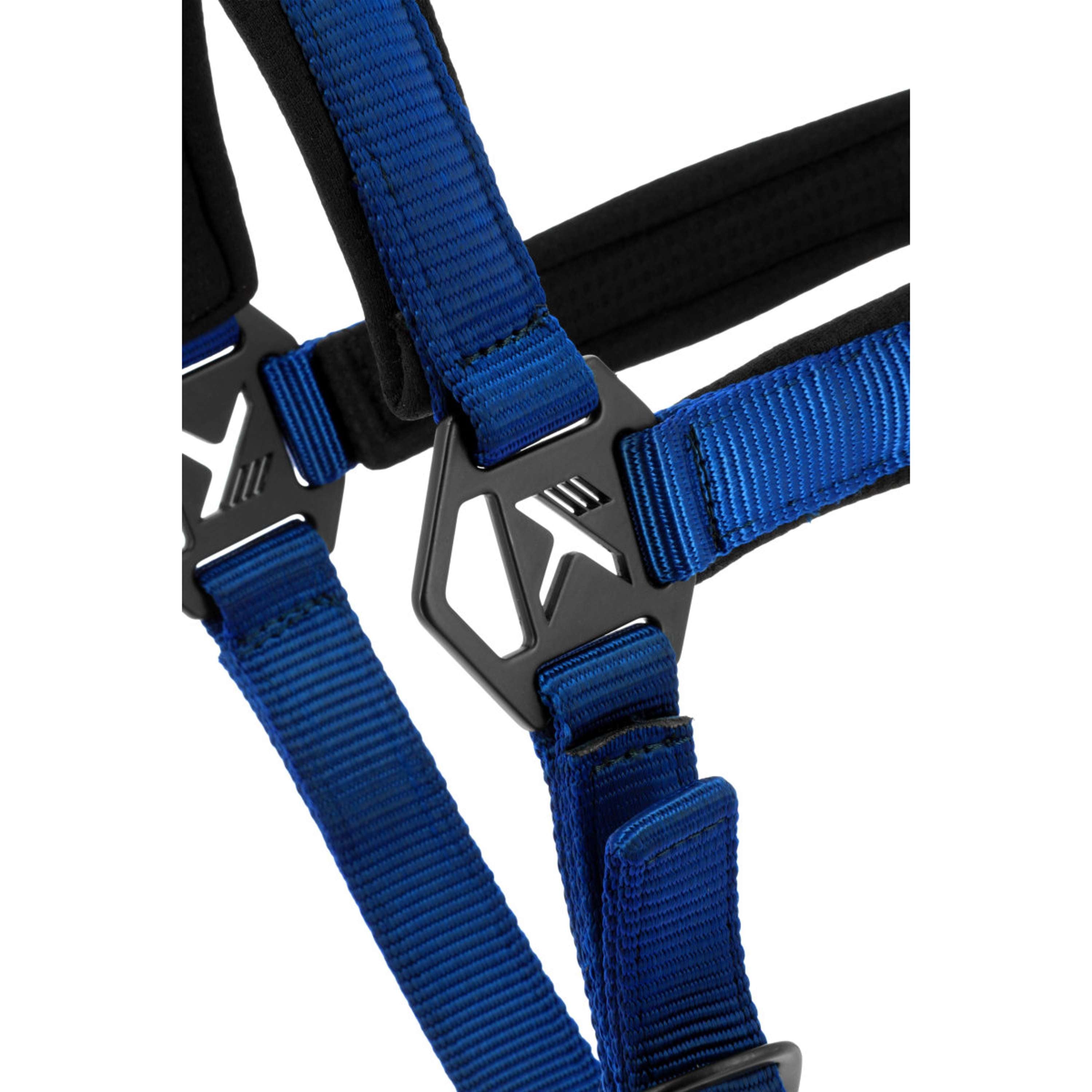 K by EQUITHÈME Halter Triton Royal Blue