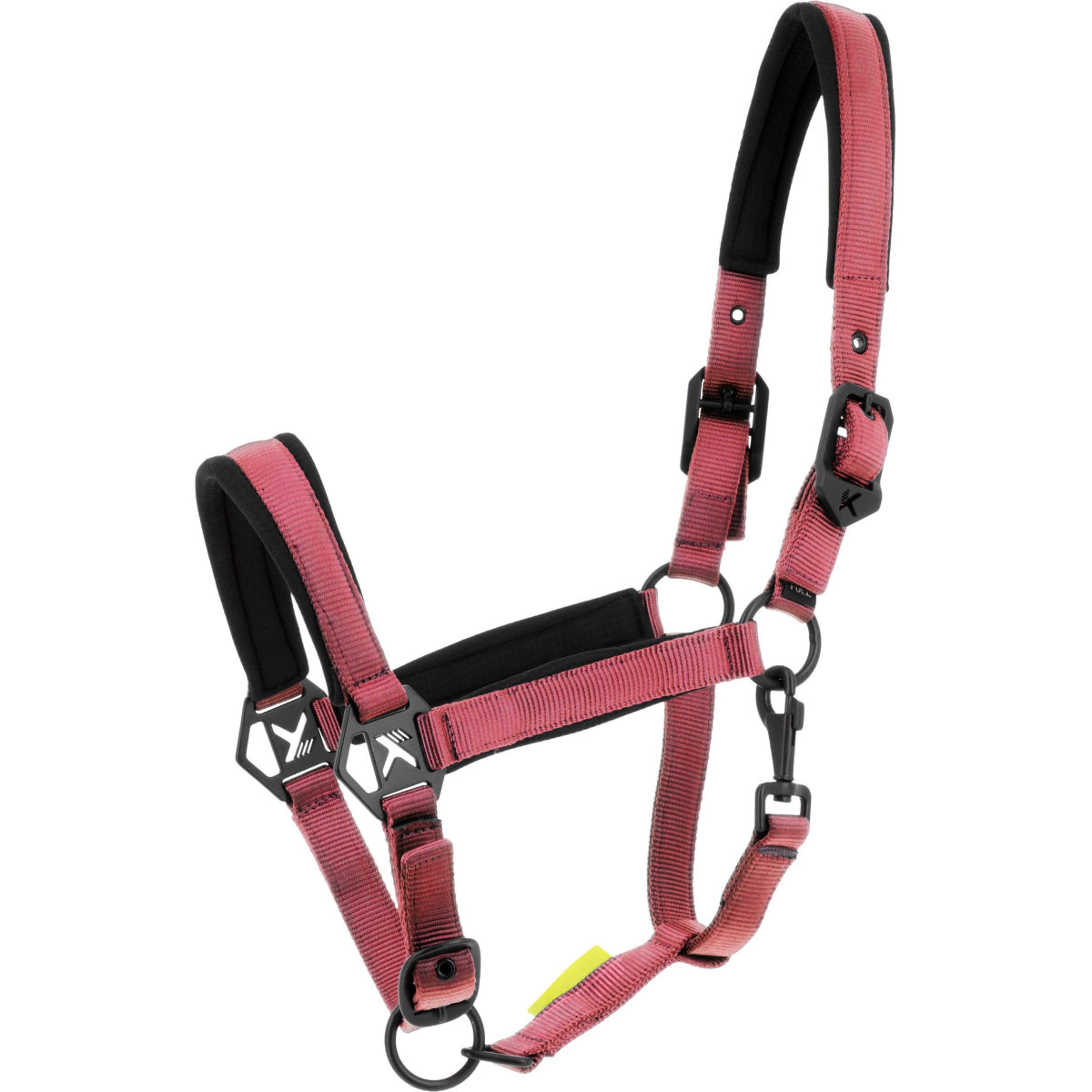 K by EQUITHÈME Halter Triton Pink