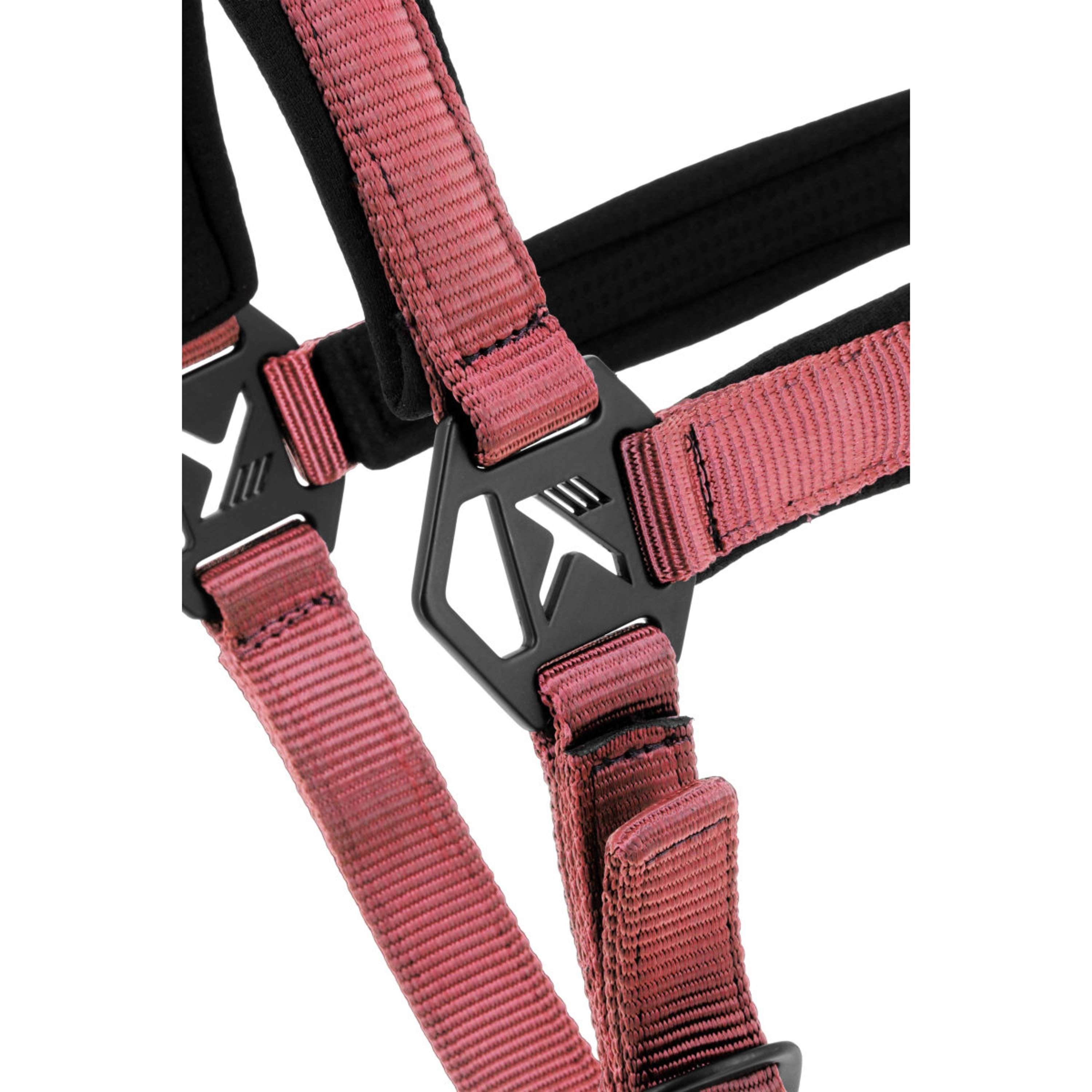 K by EQUITHÈME Halter Triton Pink