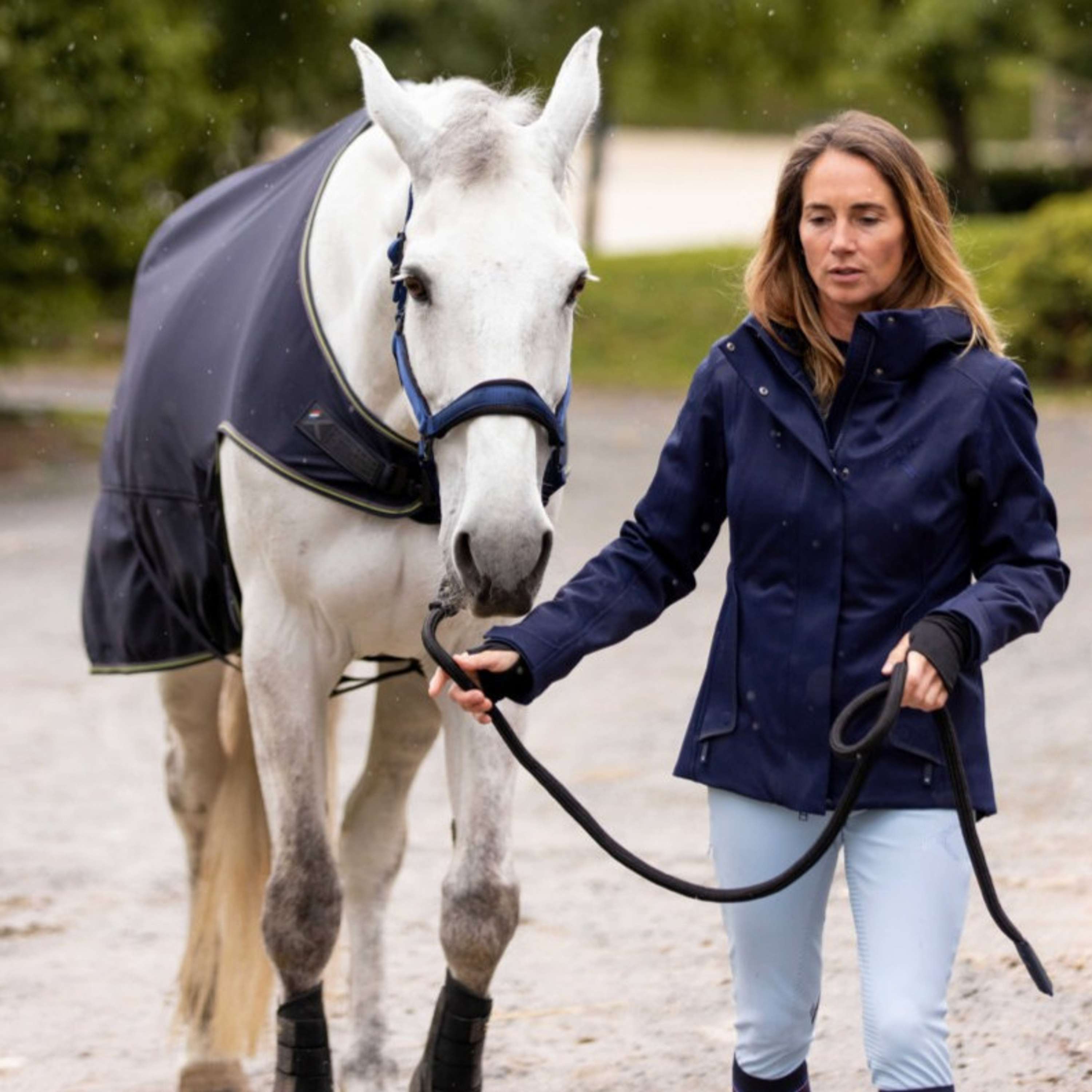 K by EQUITHÈME Halter Triton Royal Blue