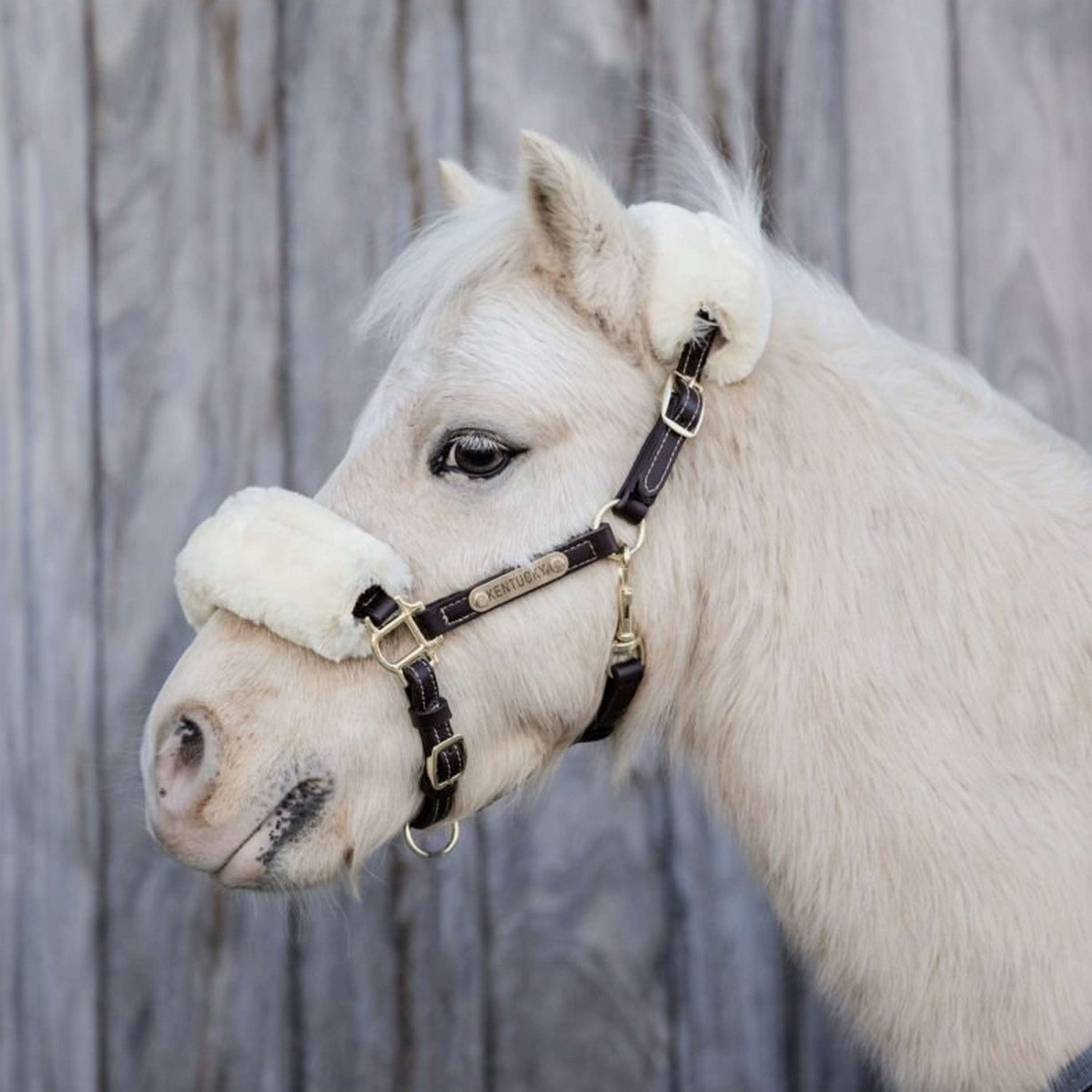 Kentucky Leather Halter Leather with Sheepskin