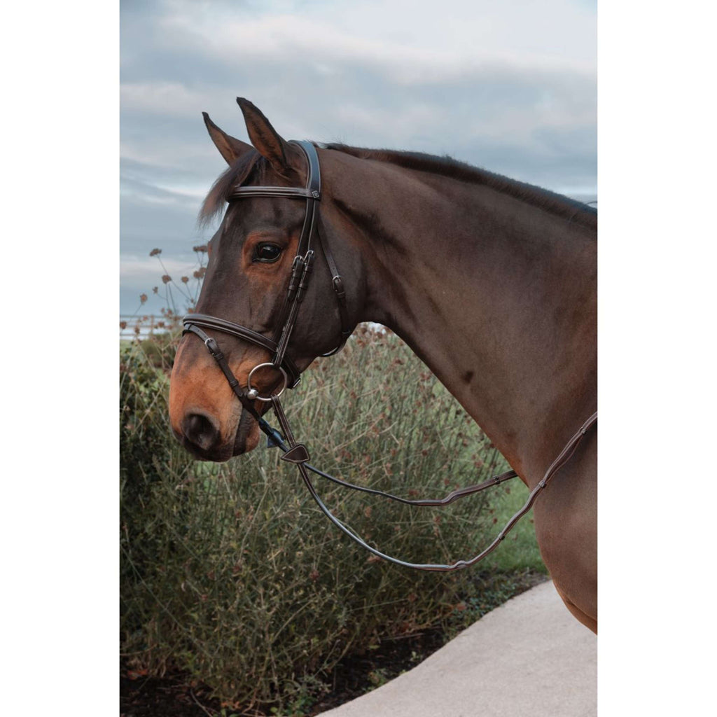Dyon Reins Leather Working Collection 1/2 with Handles Brown