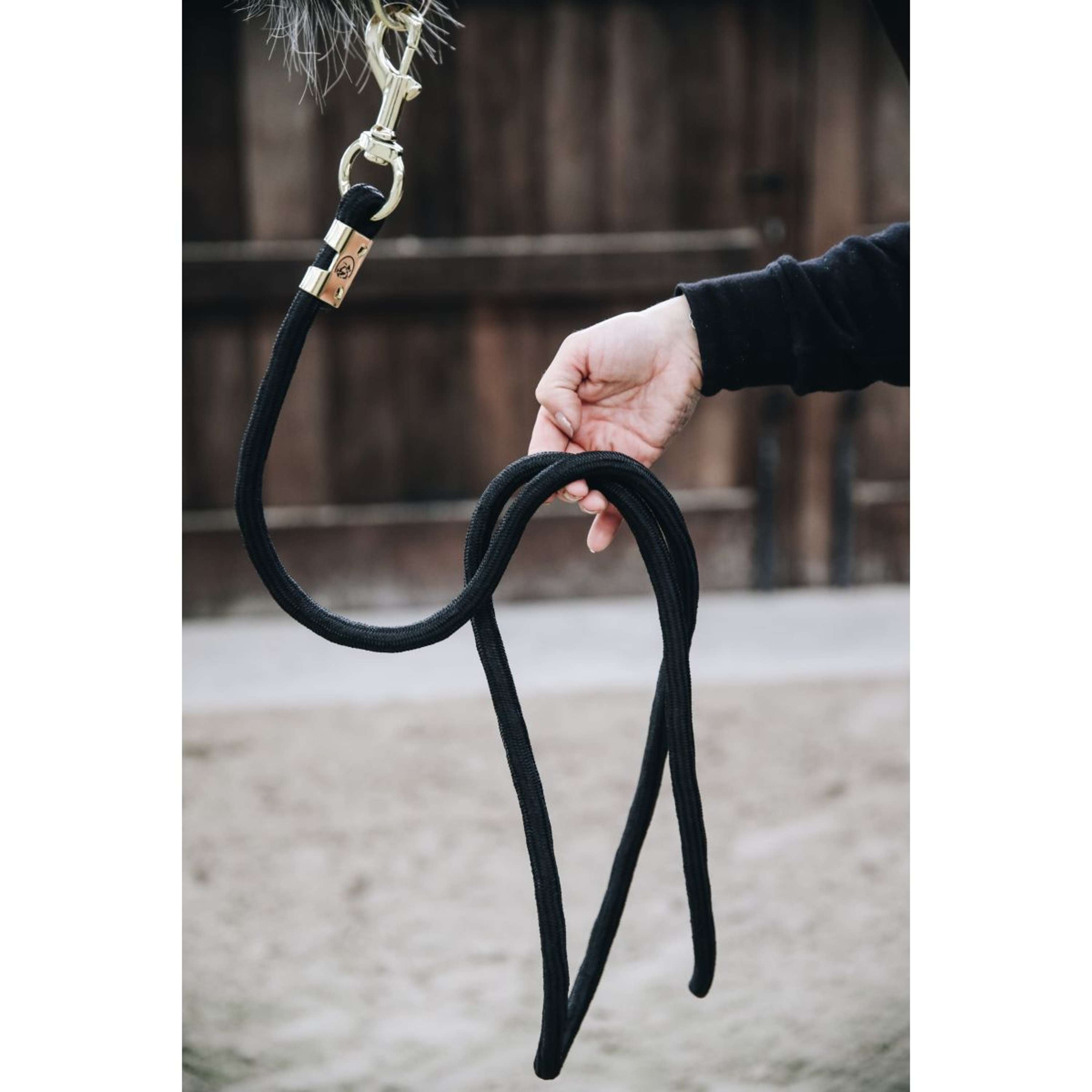 Kentucky Lead Rope Basic Black