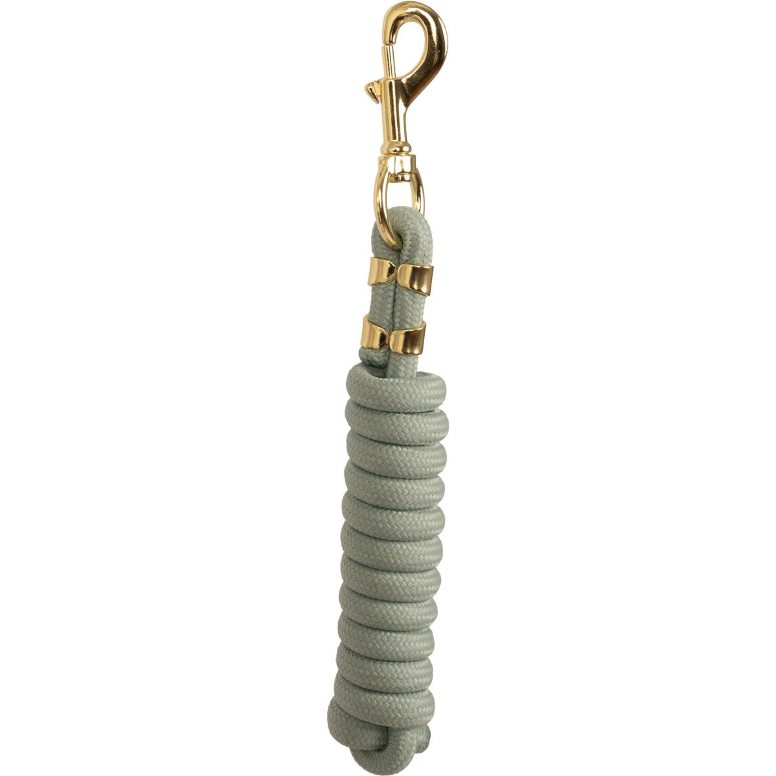 Kentucky Lead Rope Basic Mint