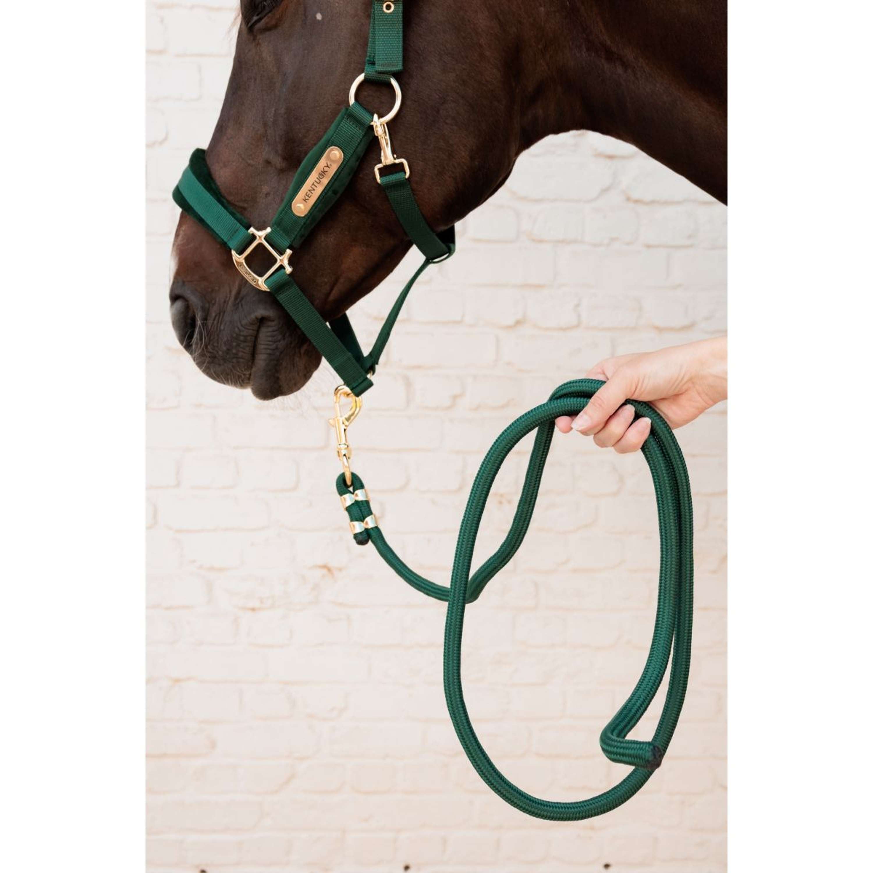 Kentucky Halter Velvet Pine Green