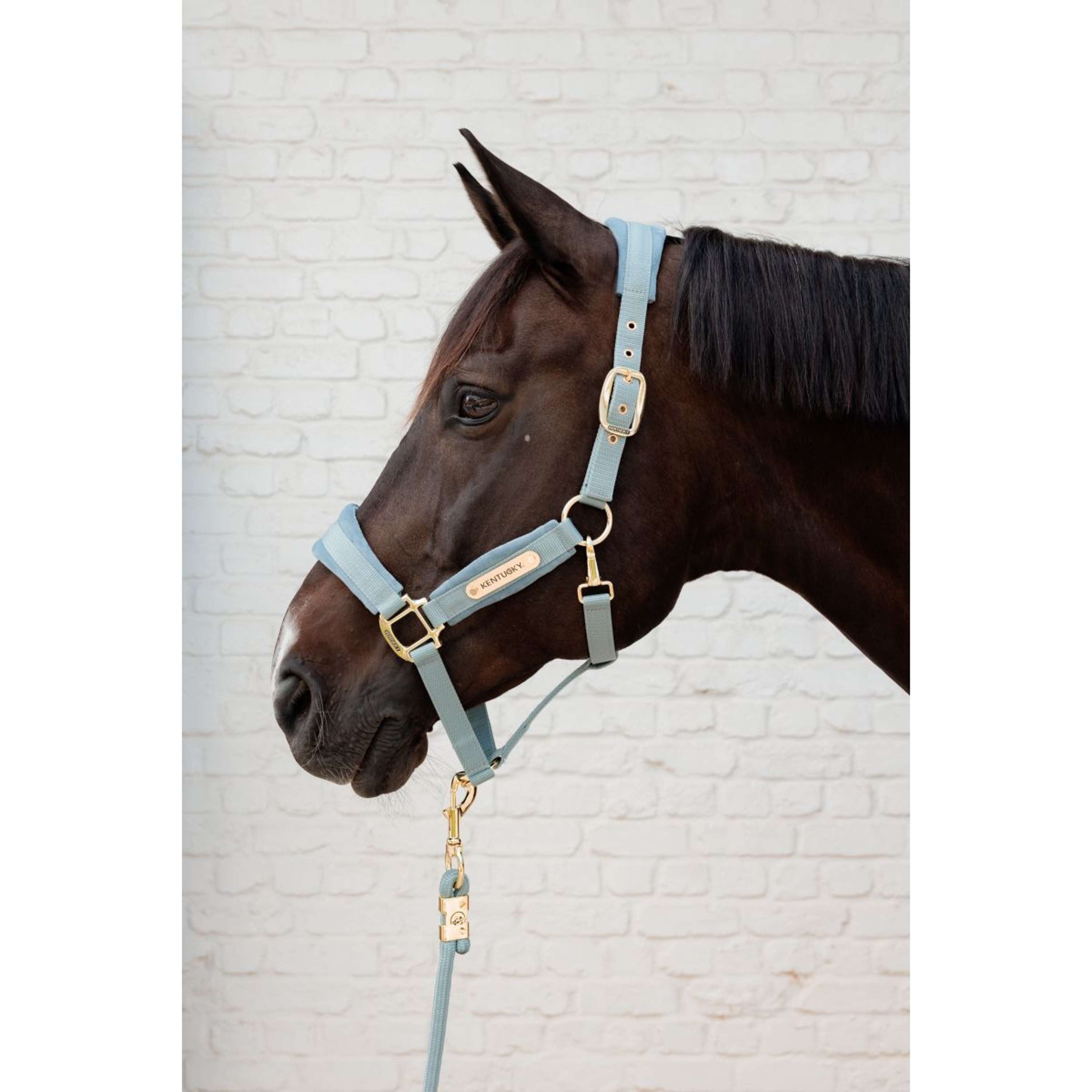 Kentucky Halter Velvet Lightblue
