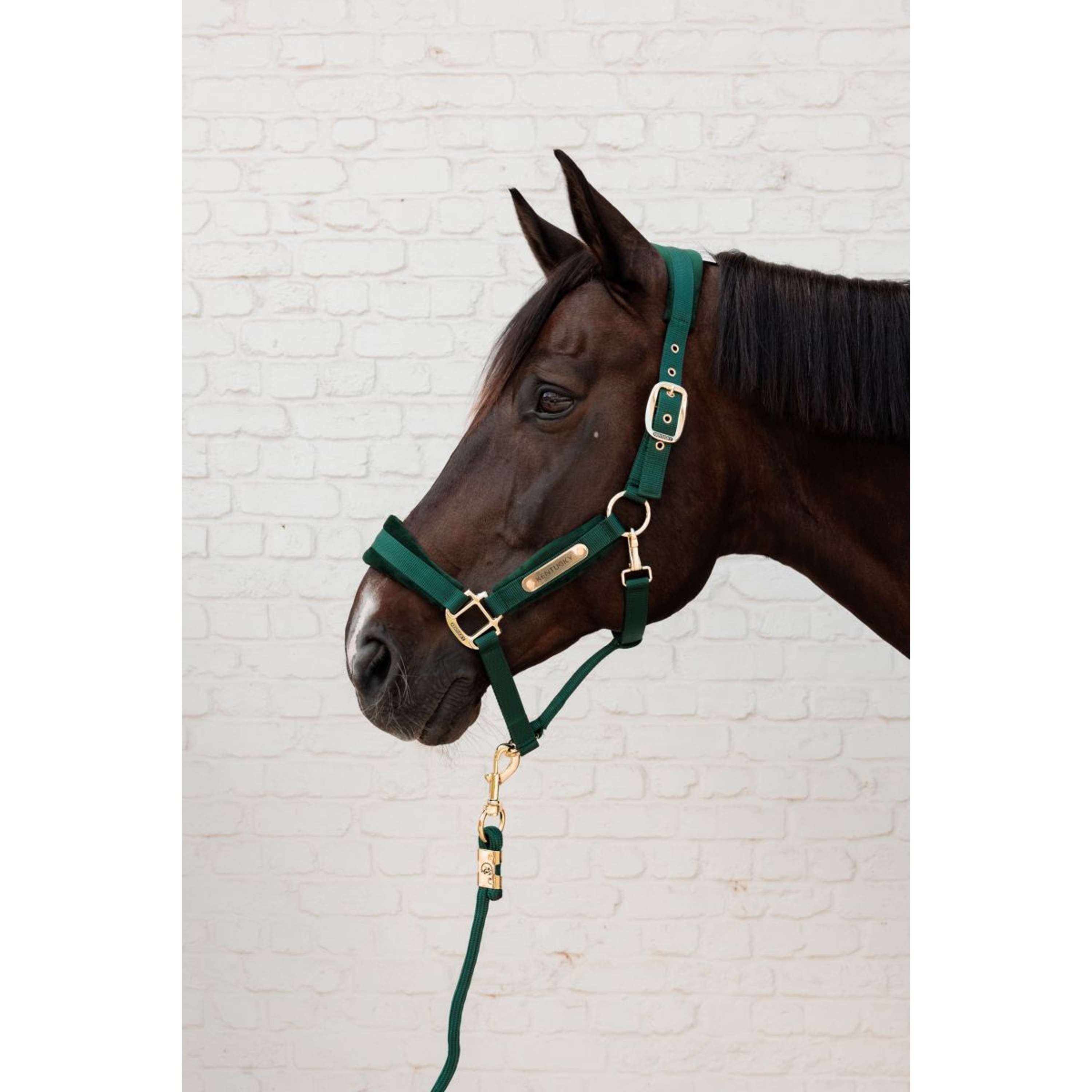 Kentucky Halter Velvet Pine Green