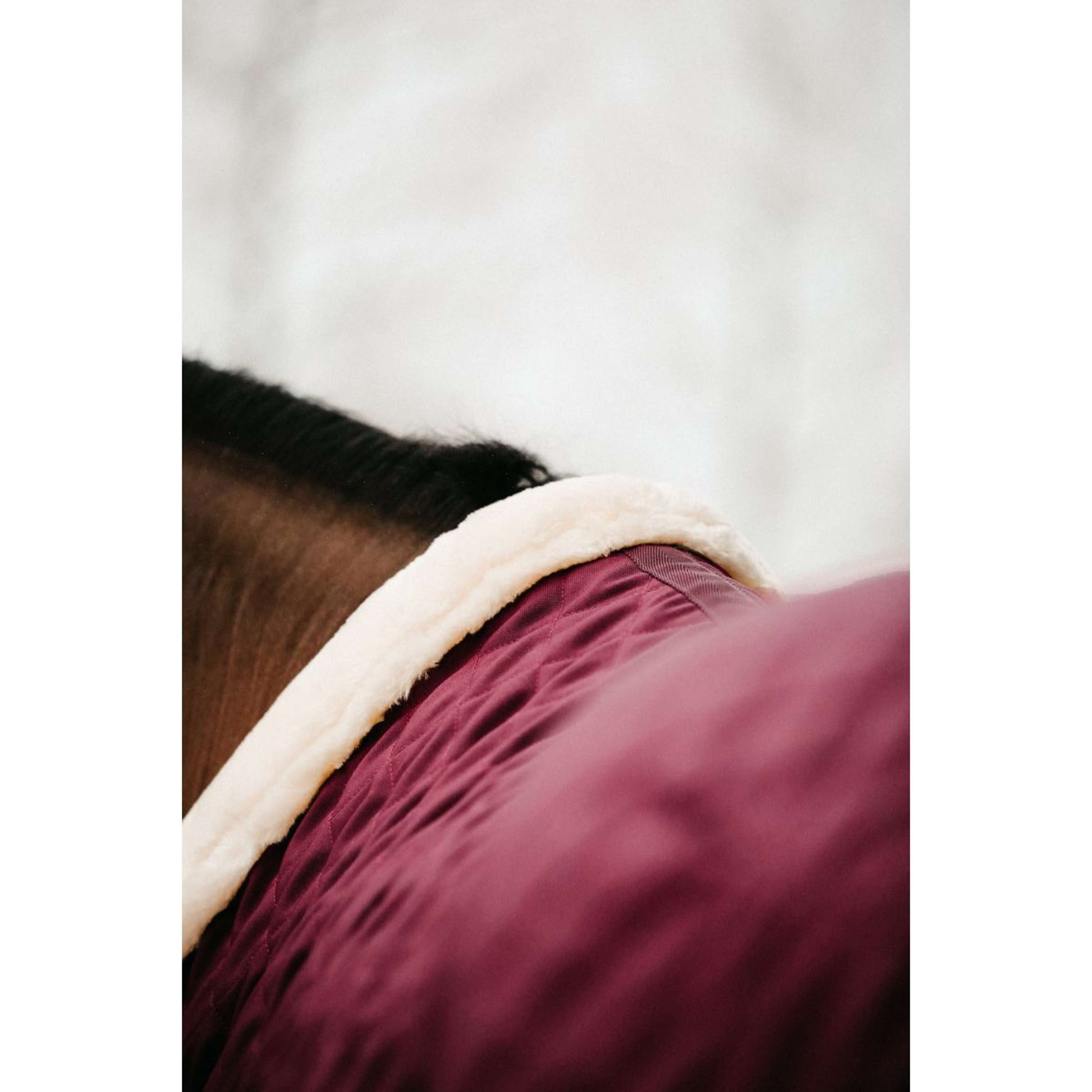 Kentucky Show Rug 160g Bordeaux